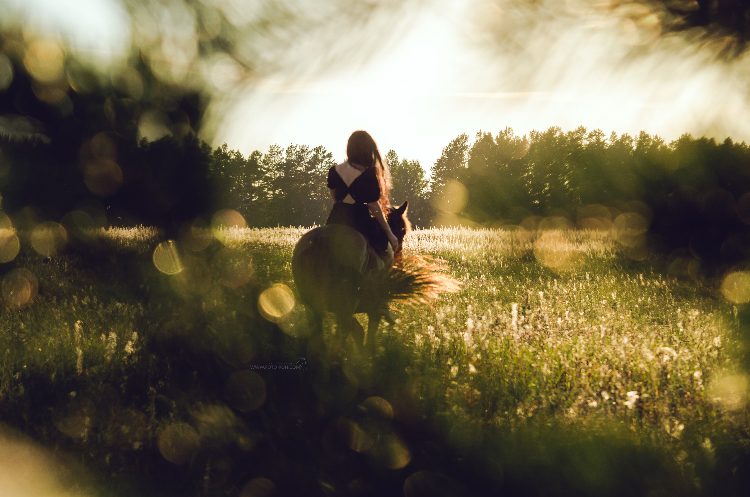 Съемка с лошадью Иркутск Иркутская область. Сайт фотографа Елены Коноваловой Иркутск