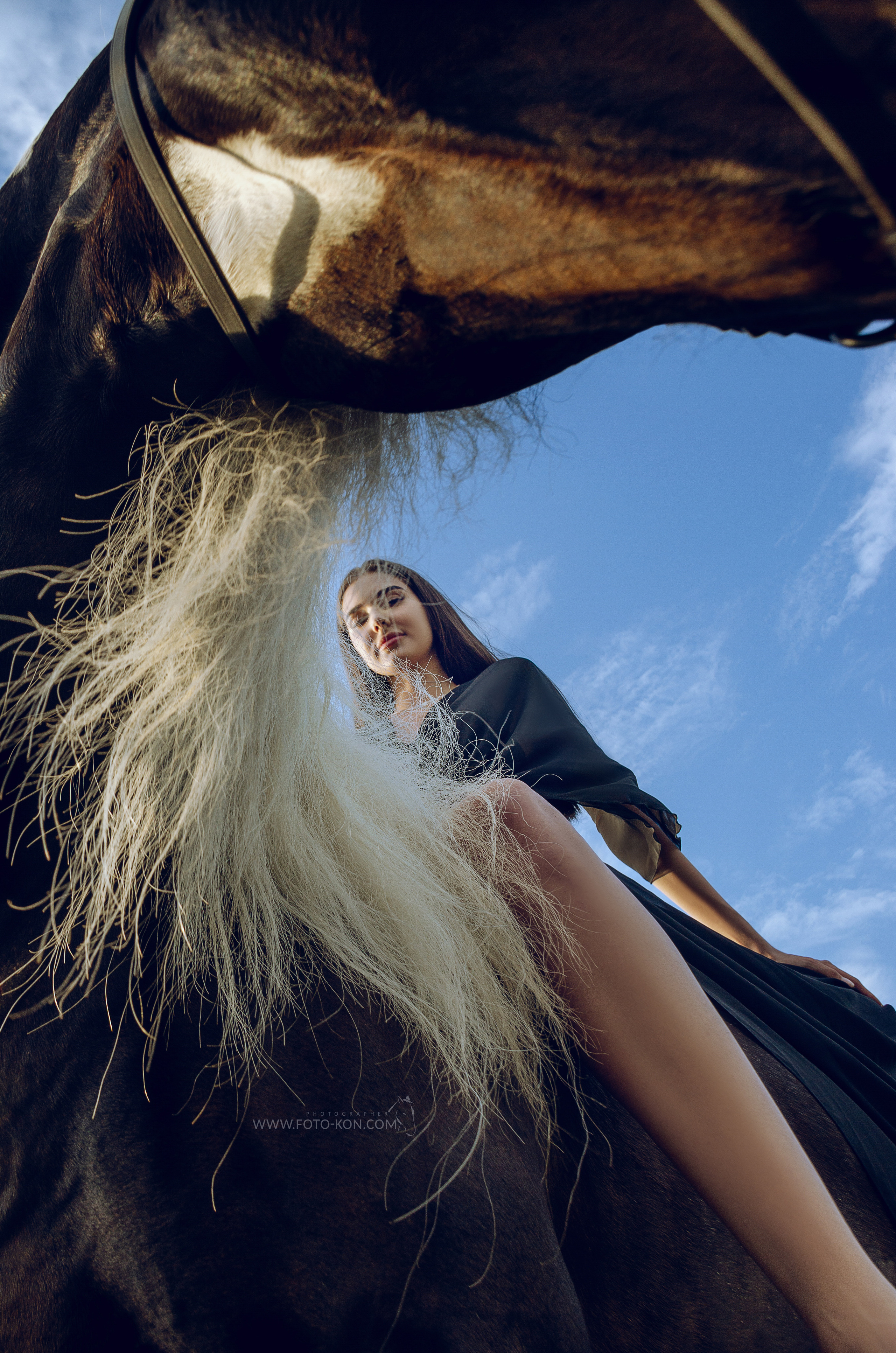 Съемка с лошадью Иркутск Иркутская область. Сайт фотографа Елены Коноваловой Иркутск