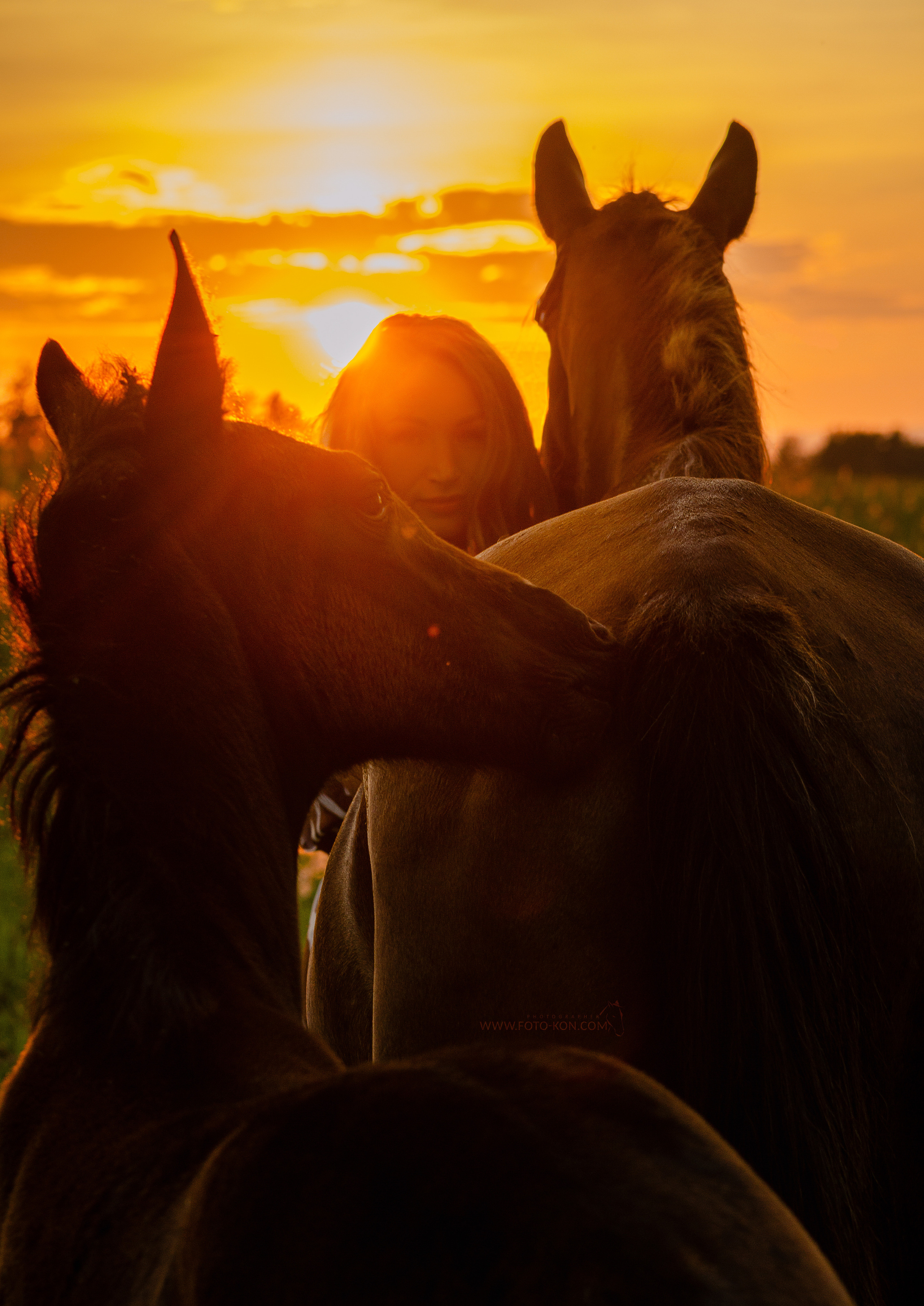Съемка с лошадью Иркутск Иркутская область. Сайт фотографа Елены Коноваловой Иркутск