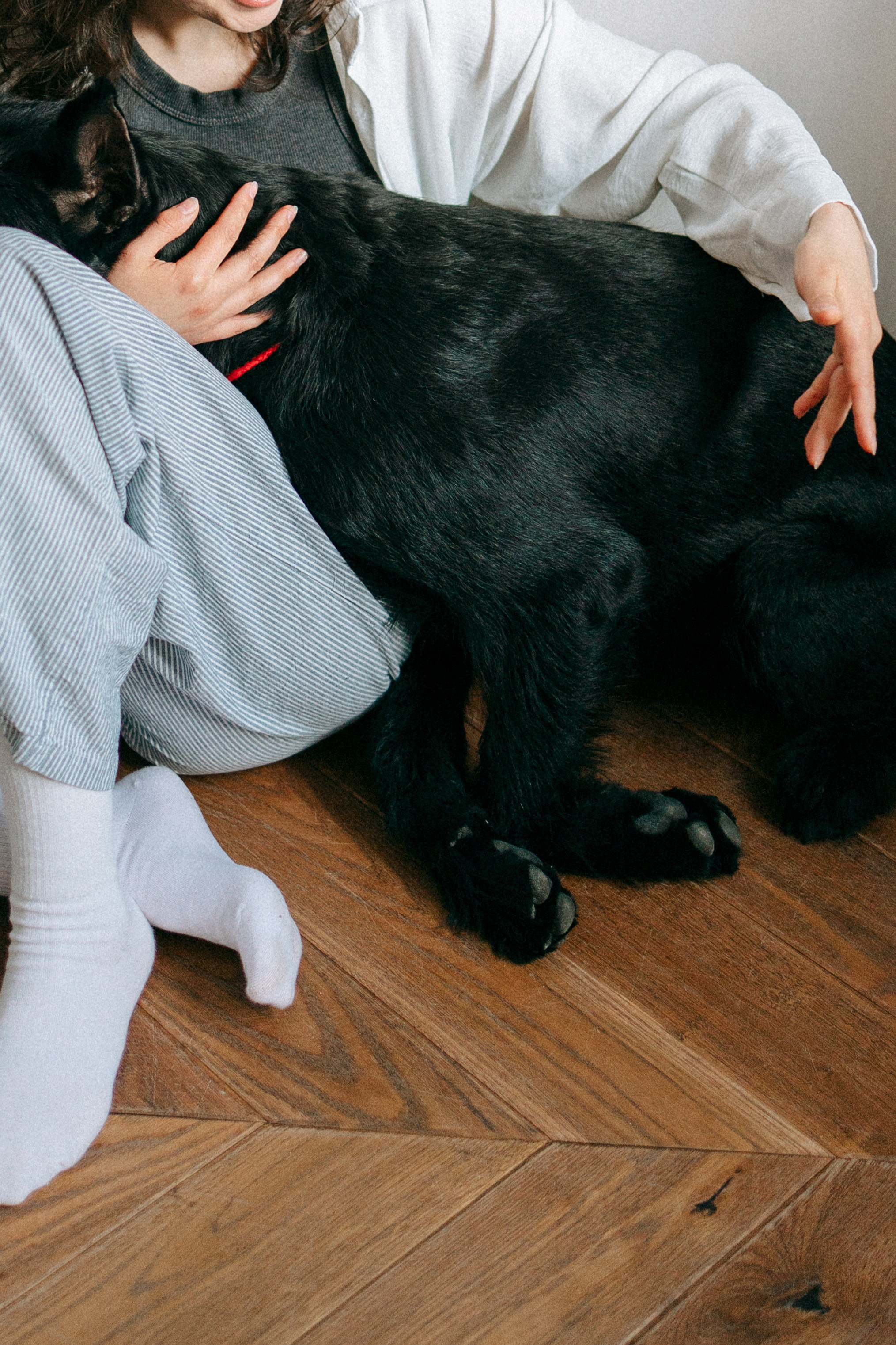 Умбра и Даша. Фотограф анималист Анастасия Пикей