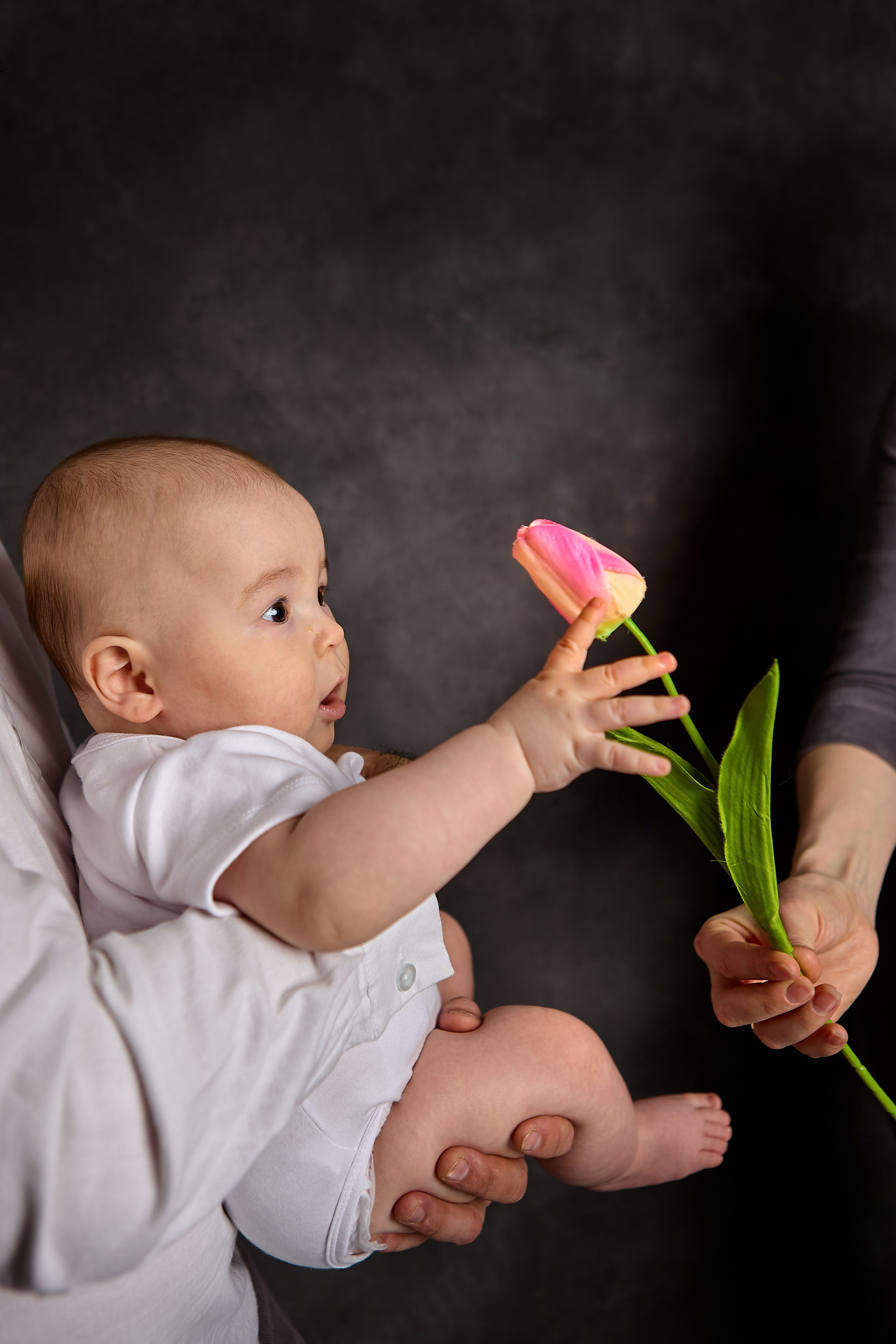 Семейная. Фотограф Анастасия Лёвушкина