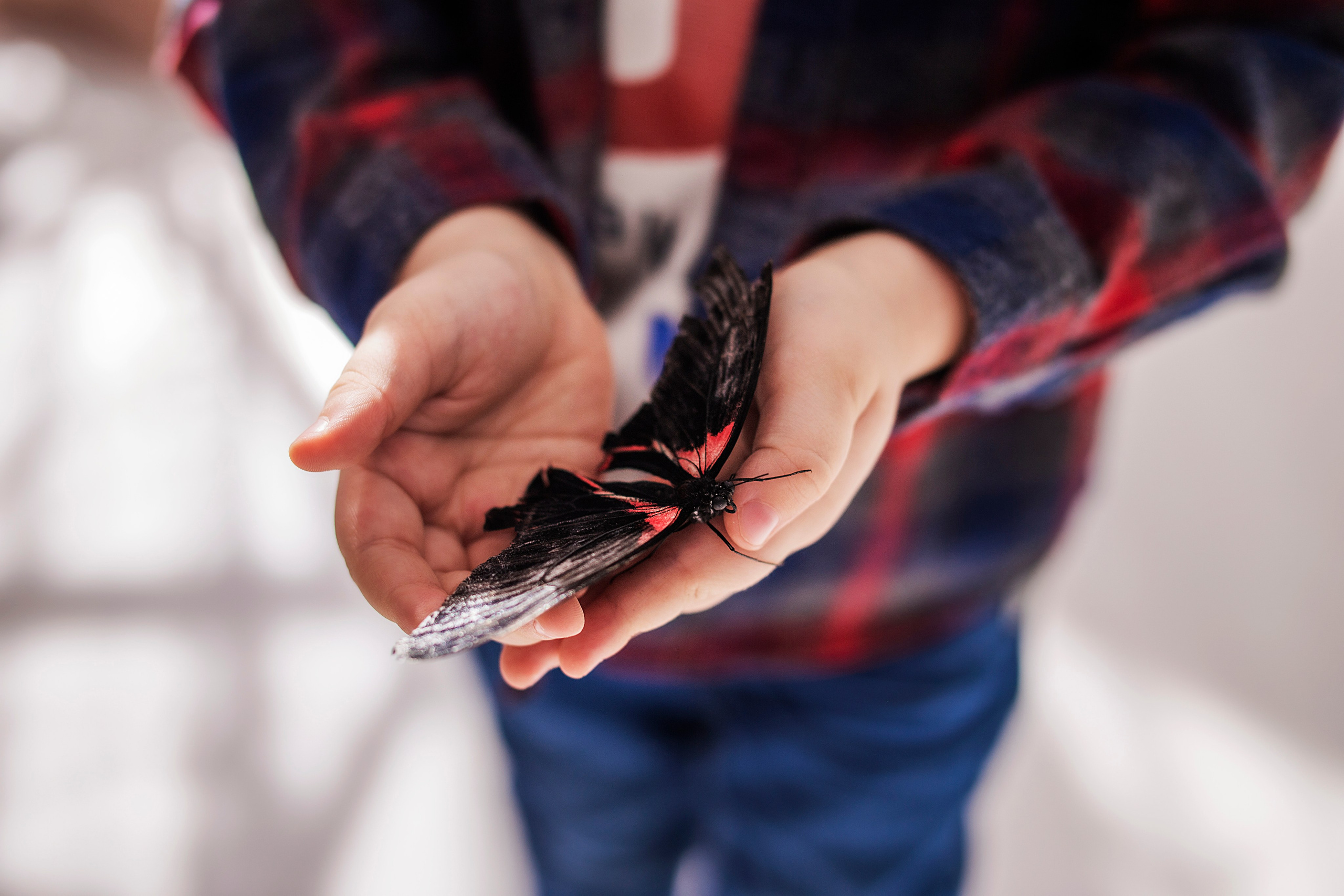 Фотопроект Бабочки. Семейный фотограф в Саратове