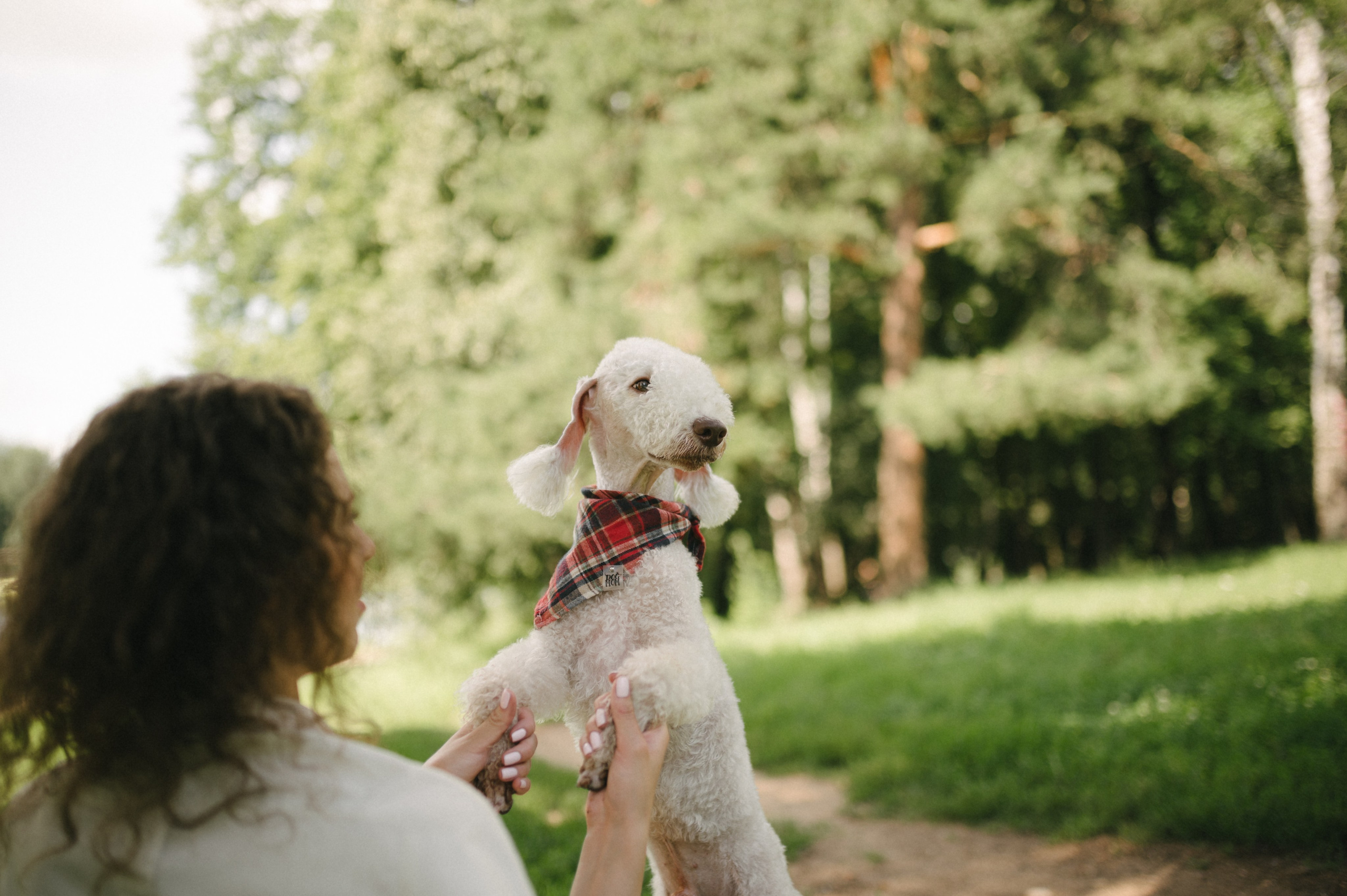 Лиза и Каспер. Фотограф анималист в Москве Ольга Агушева