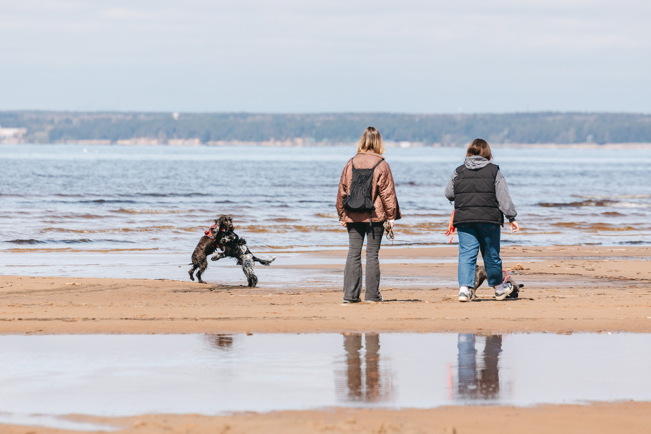 Спанимания. Фотограф анималист Осипчикова Мария