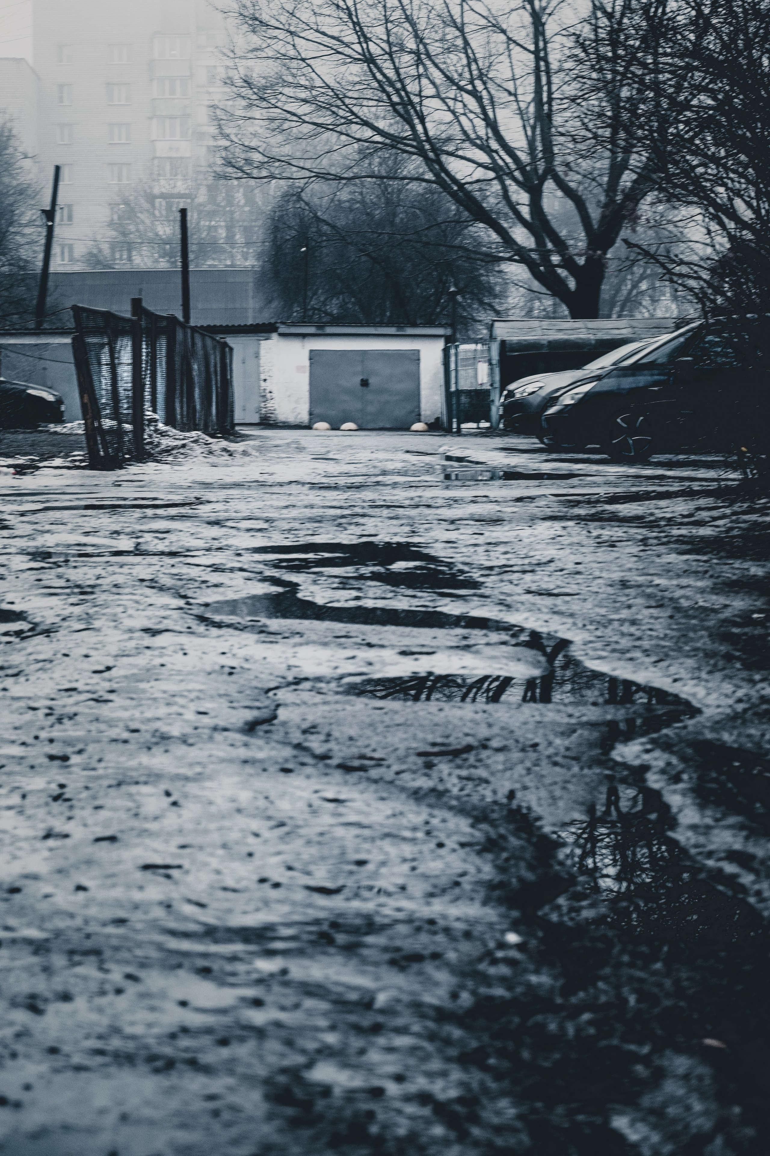 Street photo. Фотограф (photographer) Lischinski Vitaliy