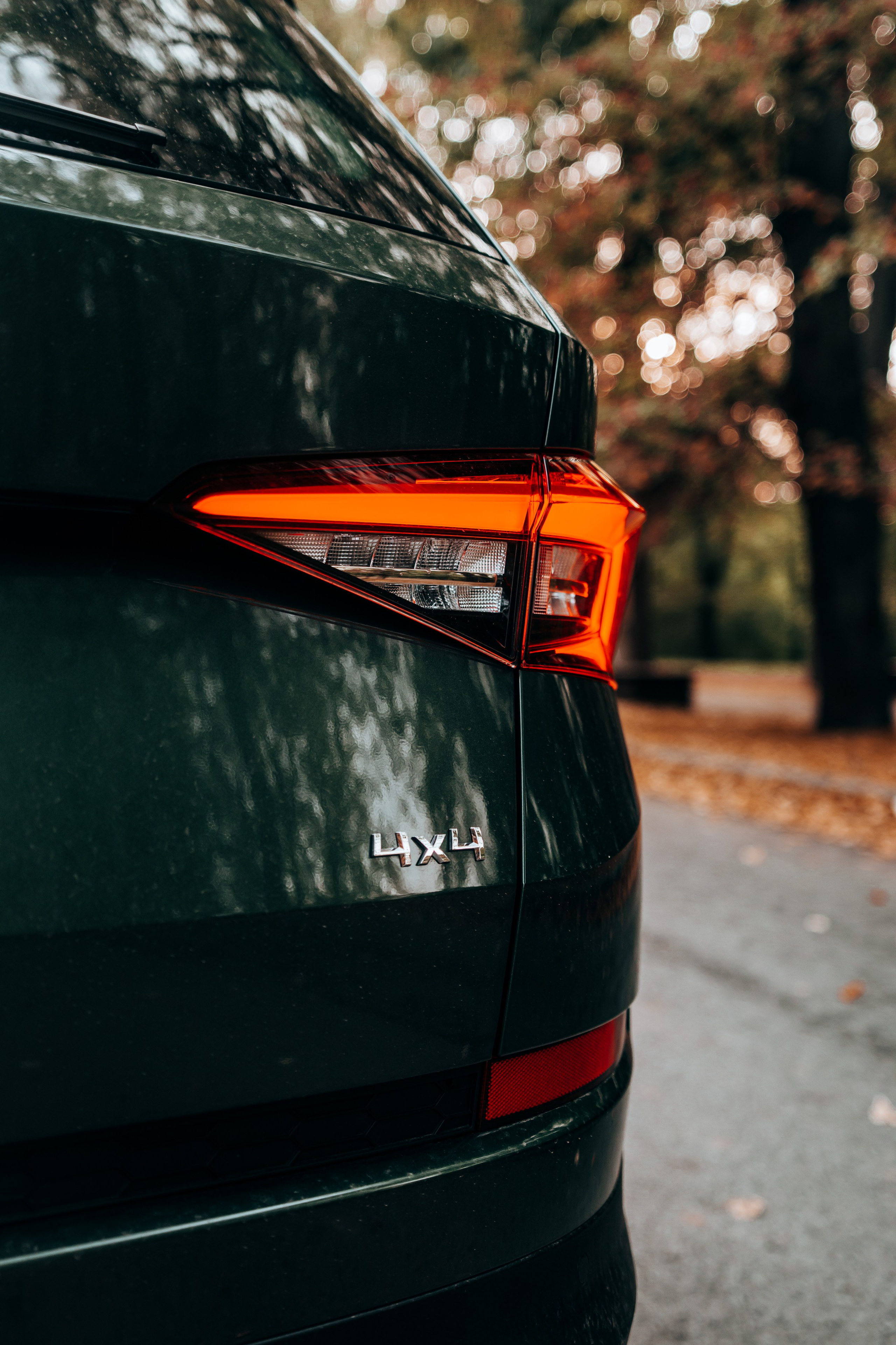 Skoda Kodiaq. Vlad Trykov