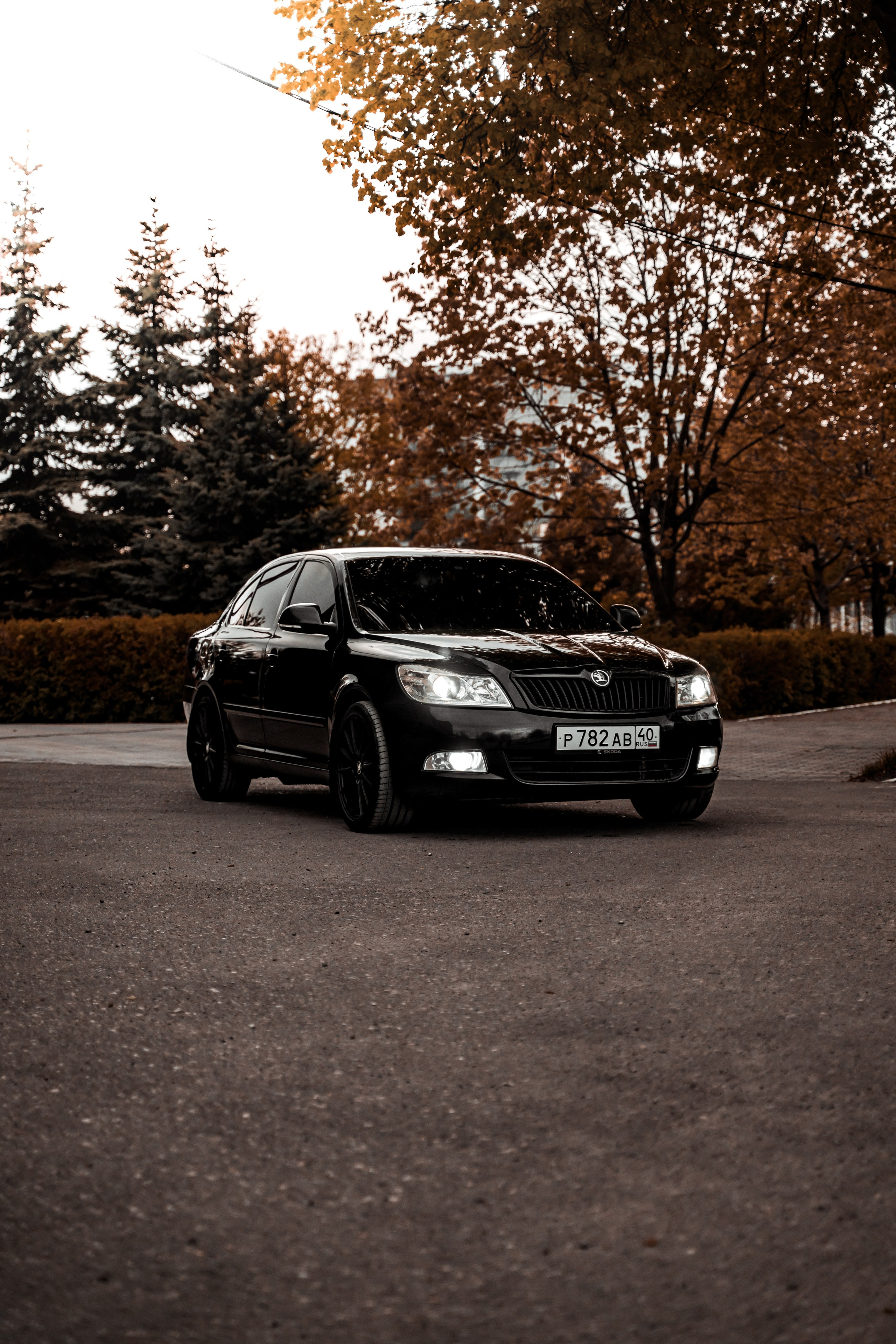 Skoda Octavia A5. Vlad Trykov