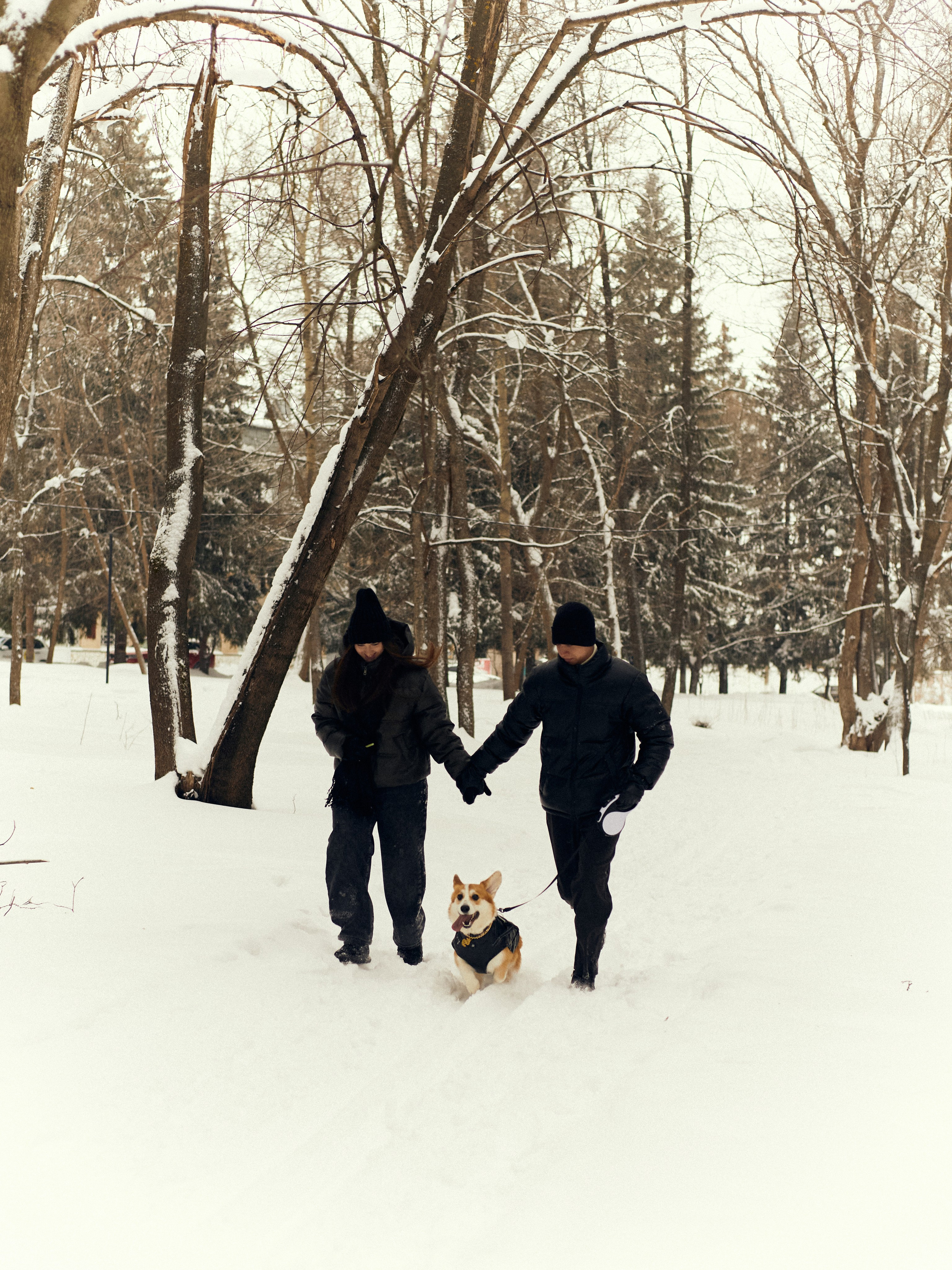 Арина и Динар малыш Рич. Фотограф и видеограф в Бугульме Аня Трутнева
