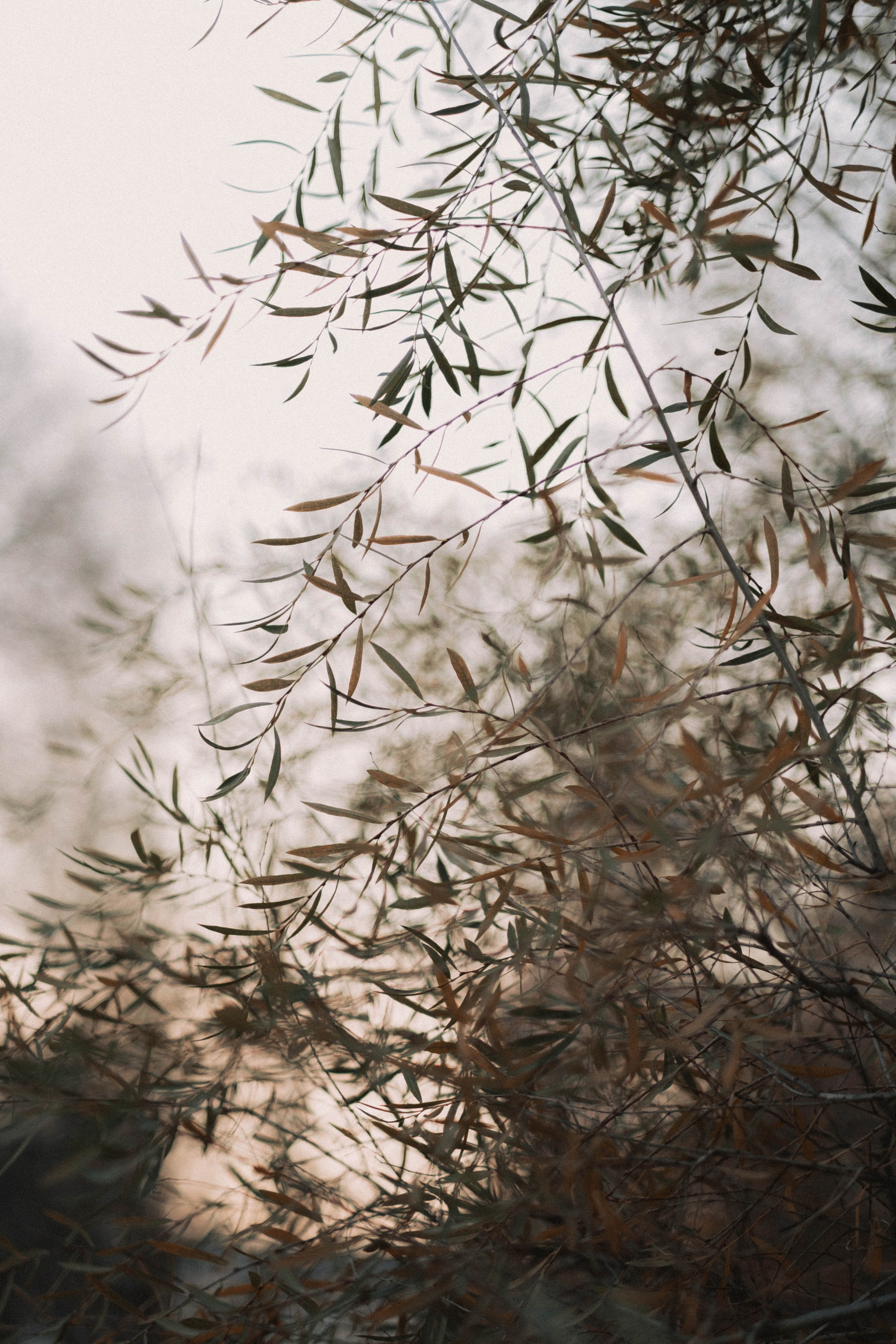 Ксения. Фотограф в Новокузнецке Анна Абузярова