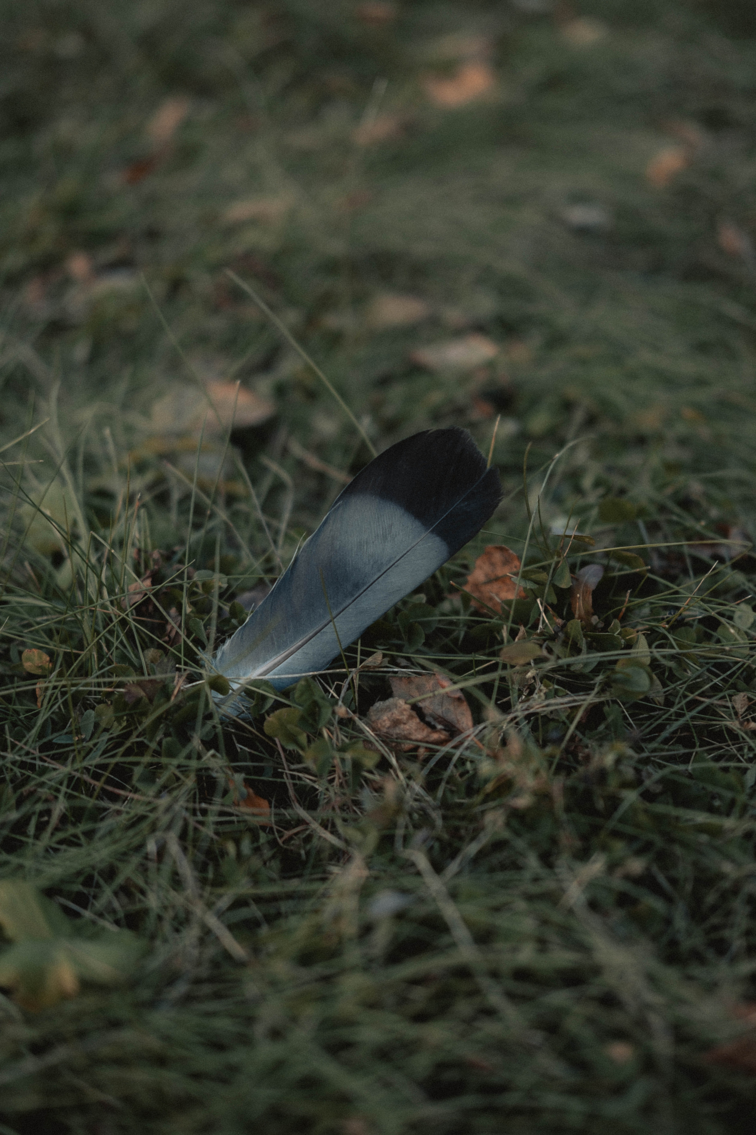 Ксения. Фотограф в Новокузнецке Анна Абузярова