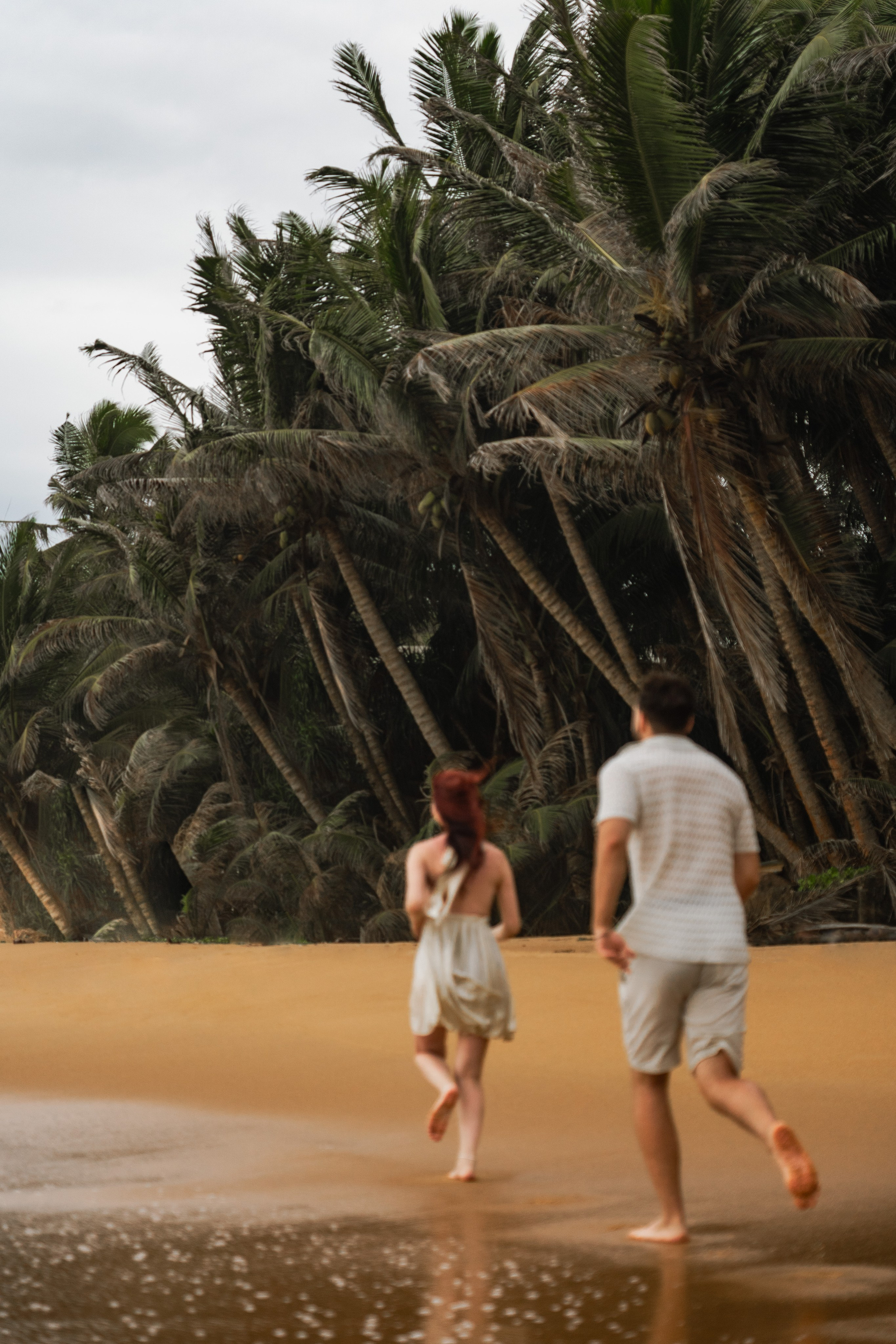 Пляжи Шри-ланки для фотосессий