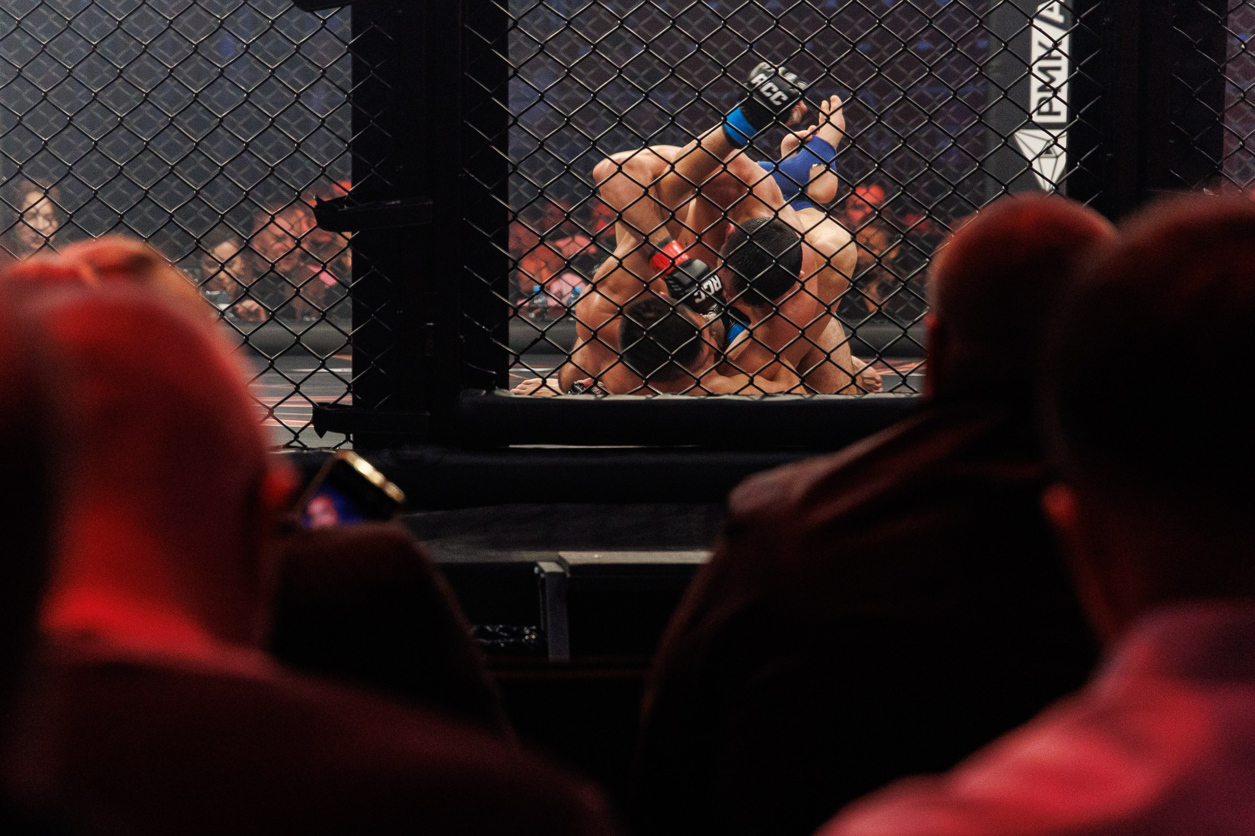 Кубок RCC MMA | Белаз-Шторм. 2025