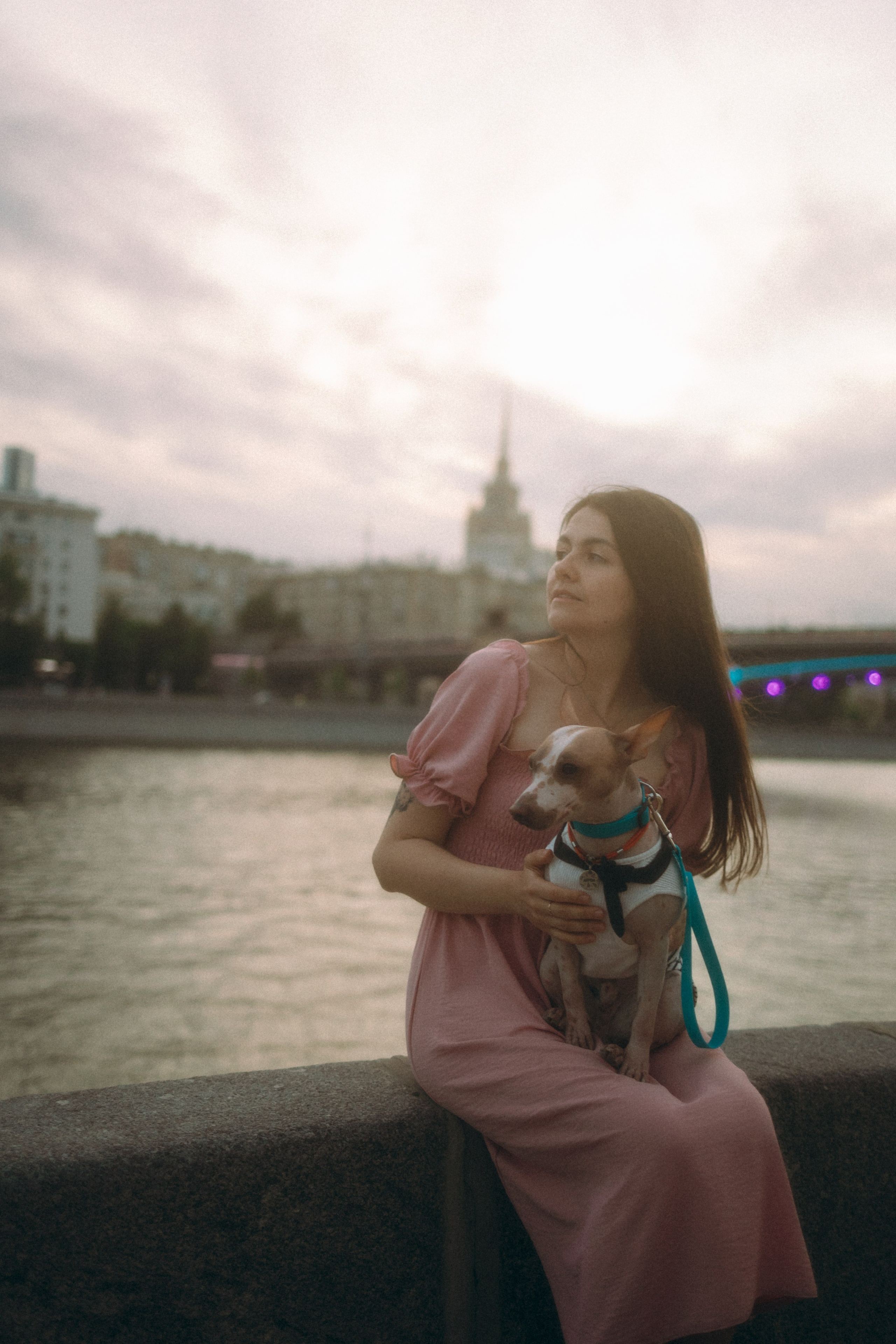 Глаша, Айрон, Ксюша и Оля. Фотограф анималист Анастасия Пикей