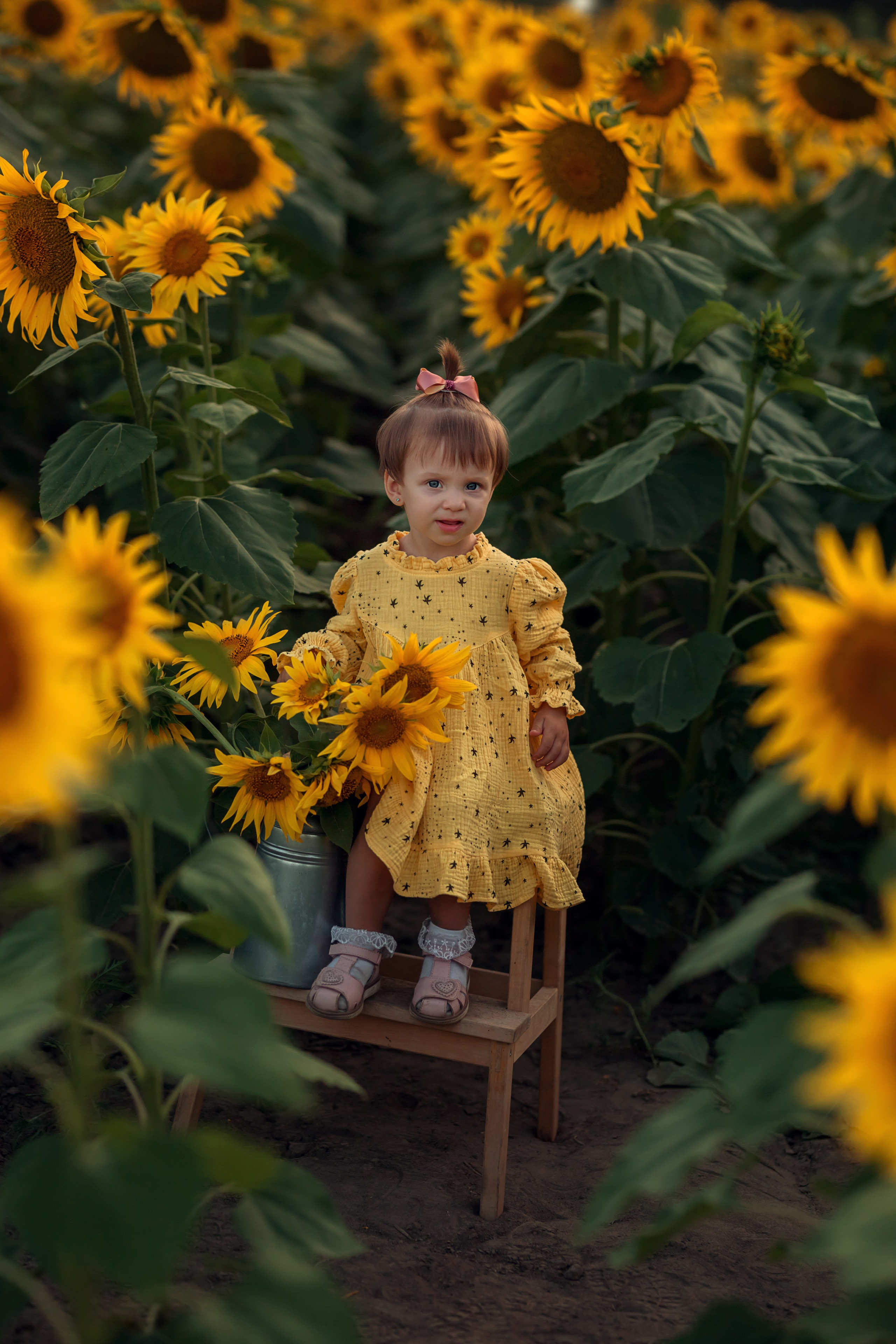 Подсолнухи. Семейный и детский фотограф Екатерина Савёлова