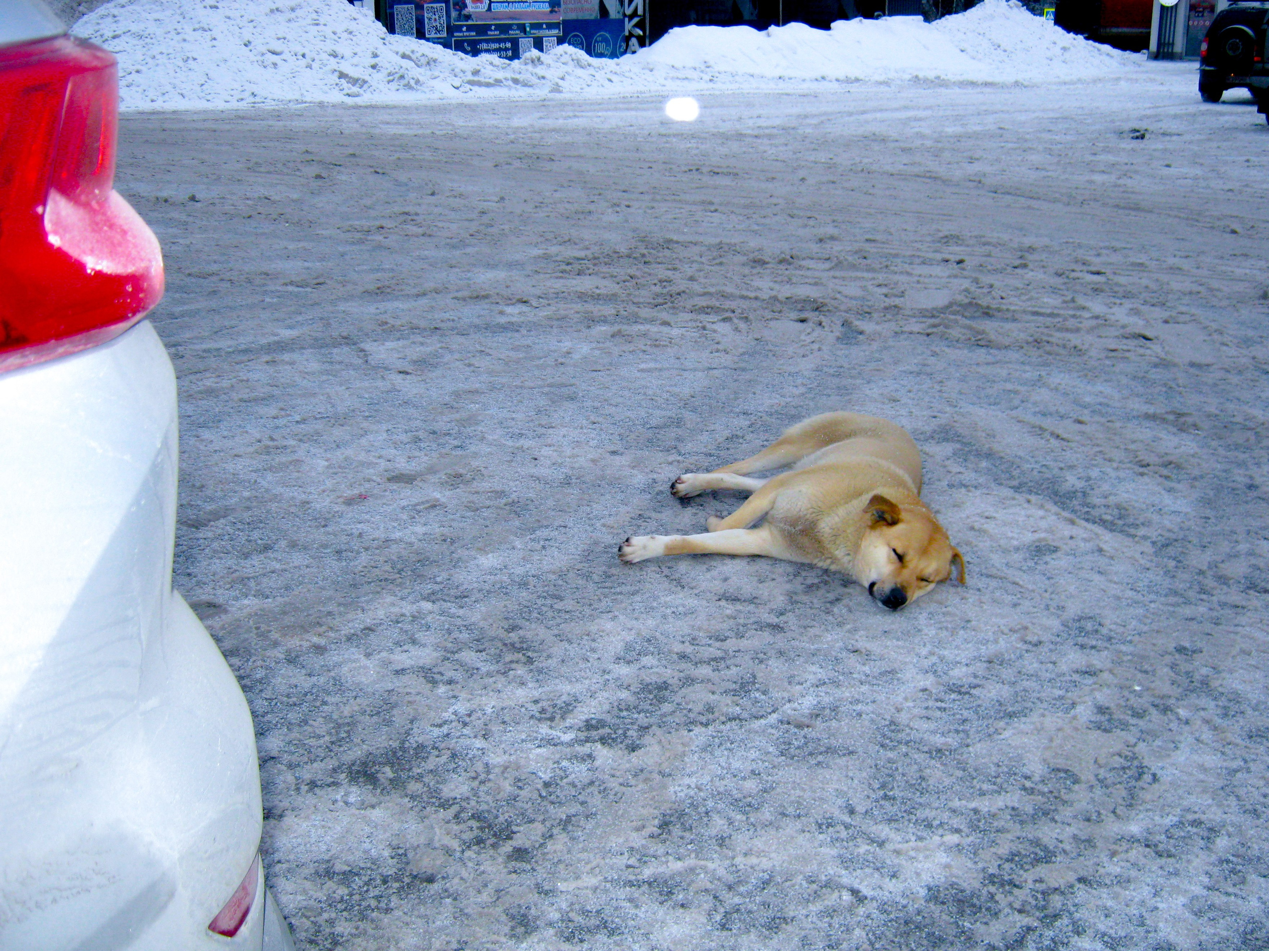 И вокруг меня. Портретный и концертный фотограф в Санкт-Петербурге Егор Телятников
