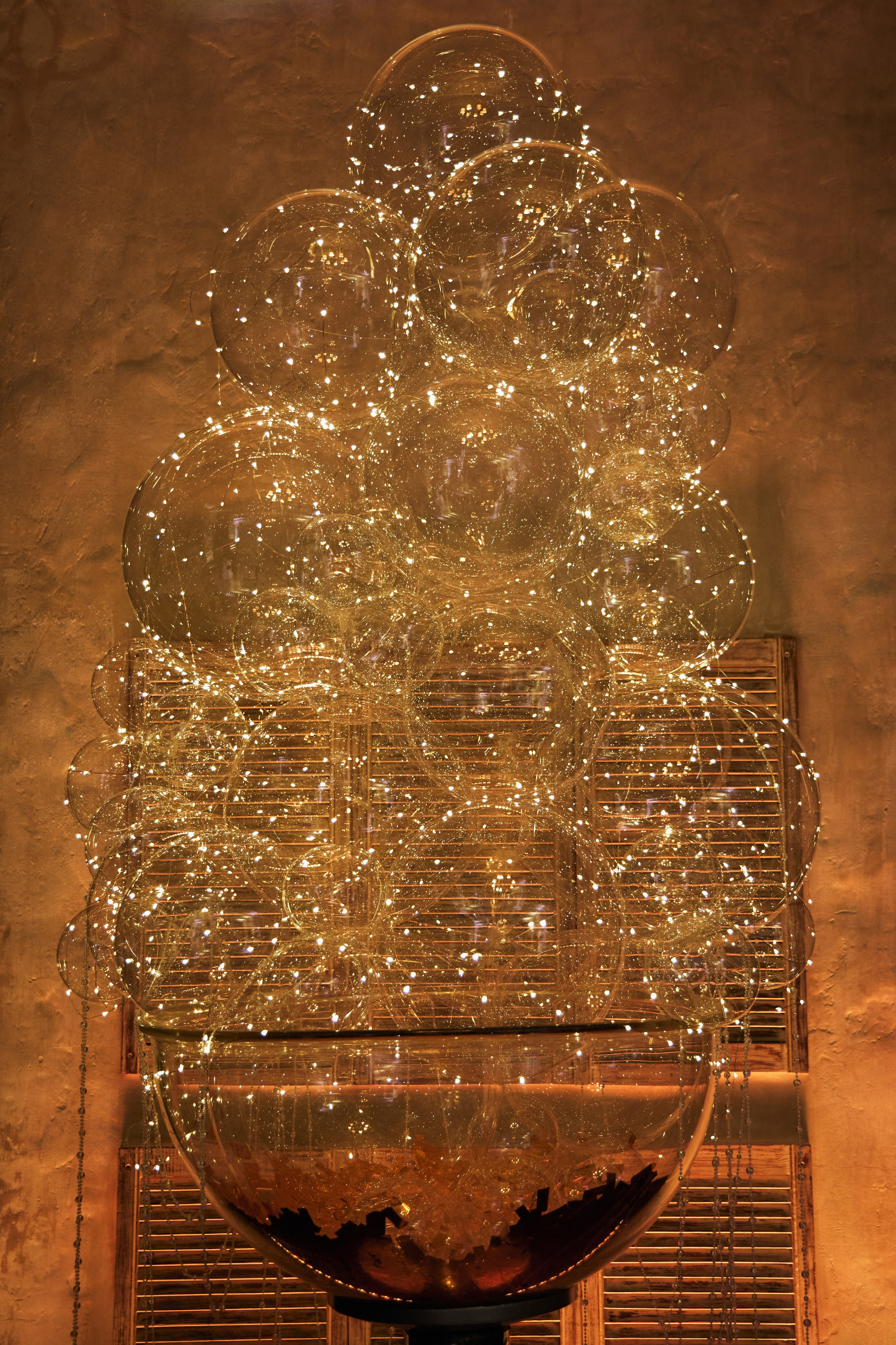 X|| Международный Конгресс Pro Agless (Гала ужин). Yankovski_001