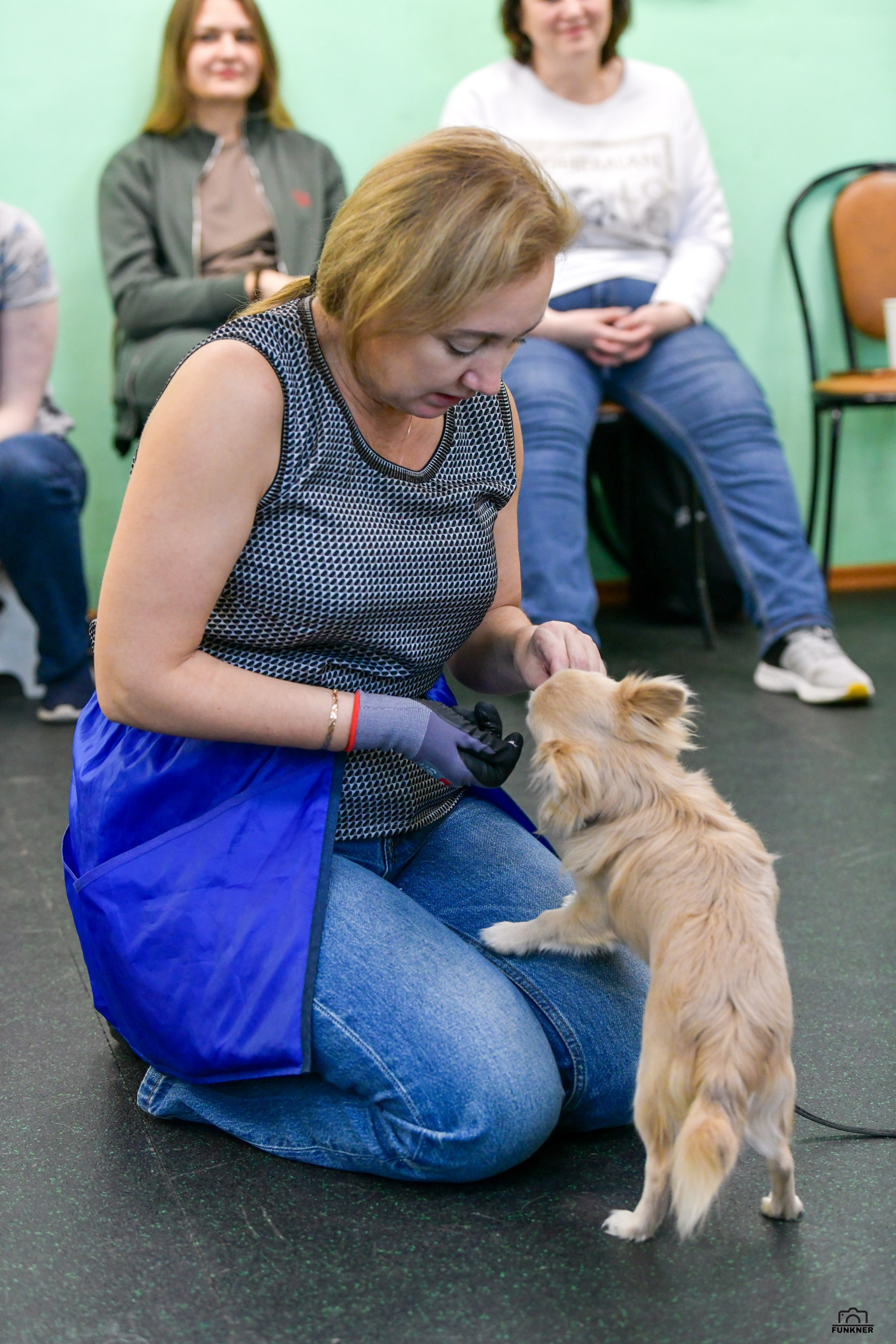 Кинологический клуб «Бодрый хвост». Свой взгляд через объектив