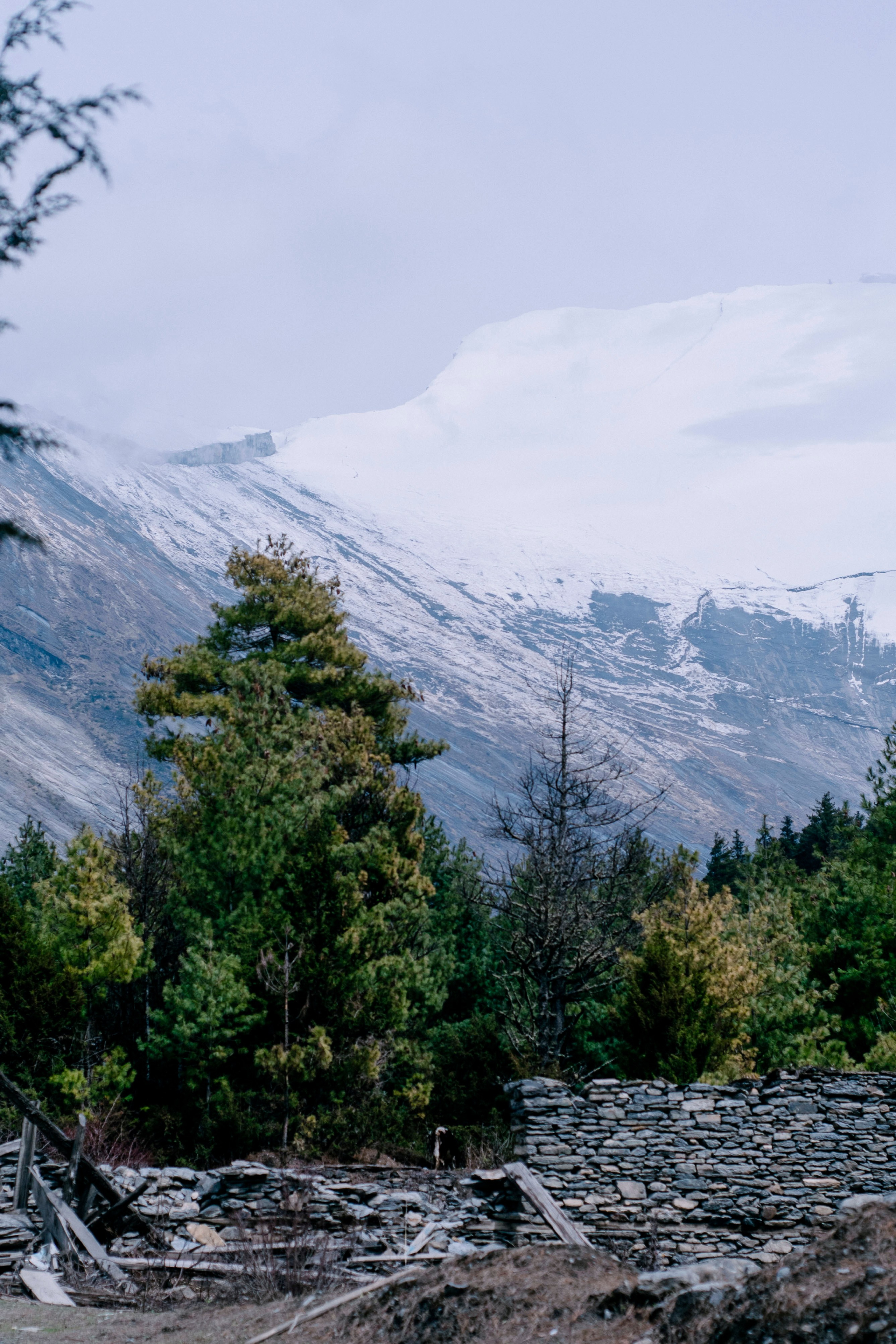 Annapurna trek. Iraogo
