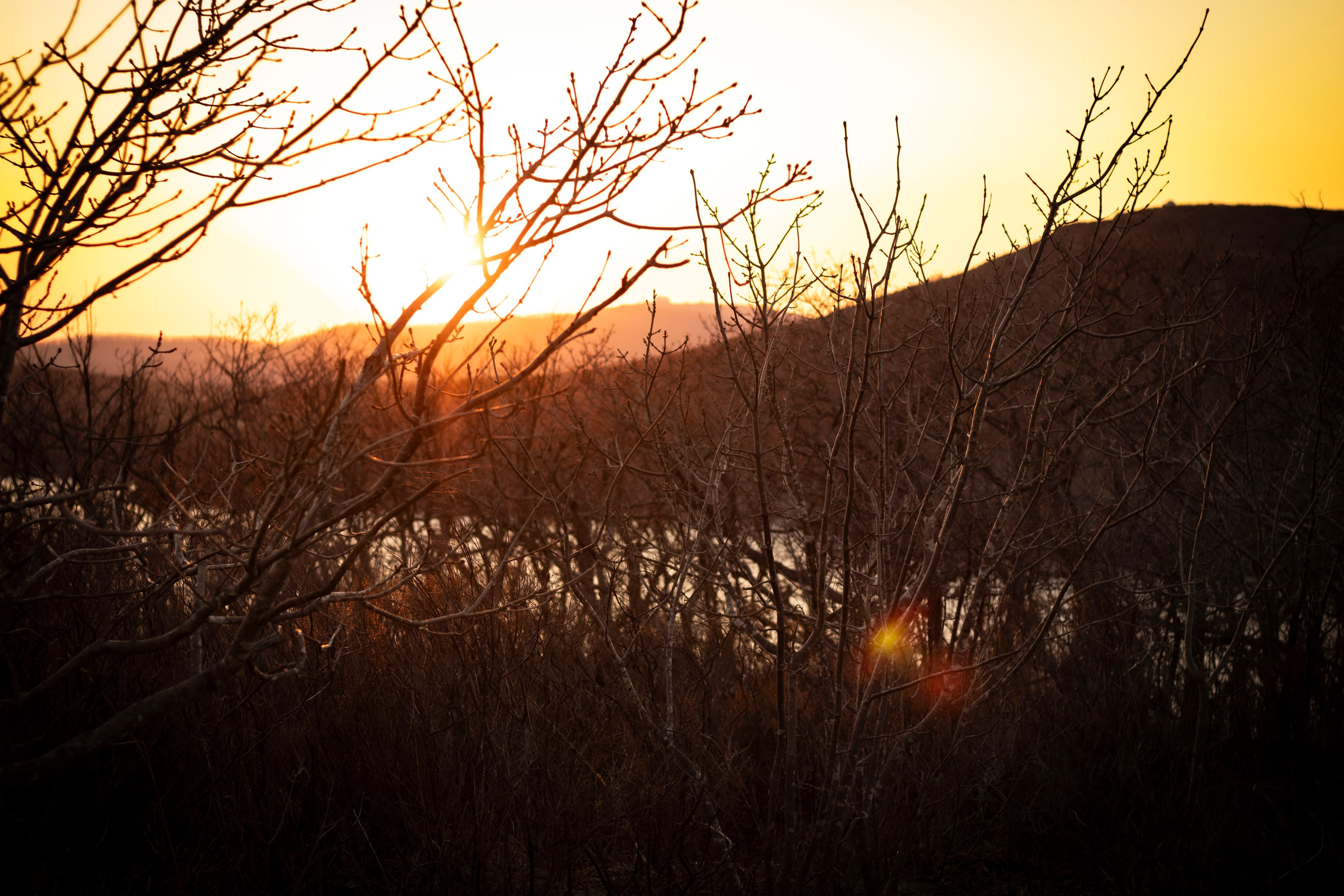 Творческий подход. Фотограф г. Владивосток