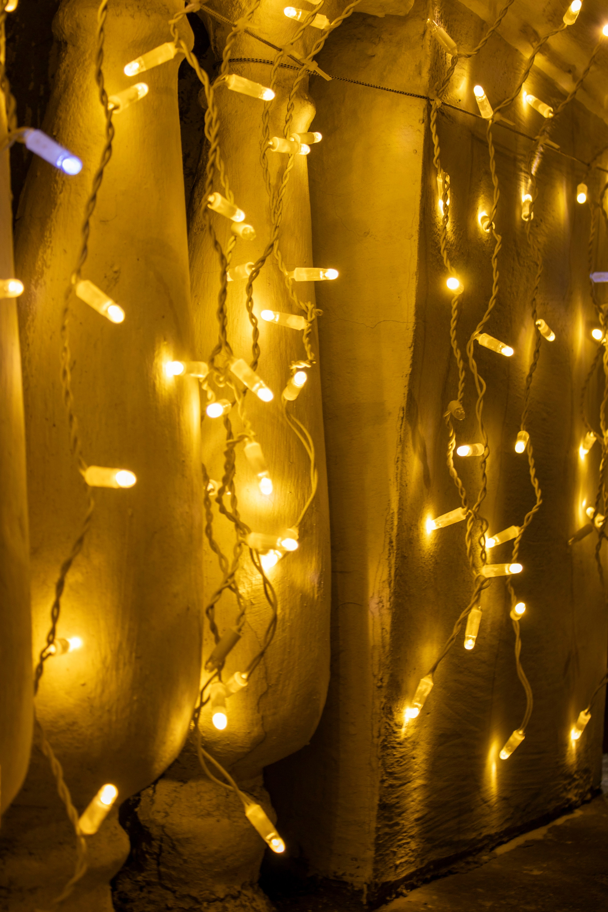 Новогодняя вылазка 2024. Фотограф г. Владивосток