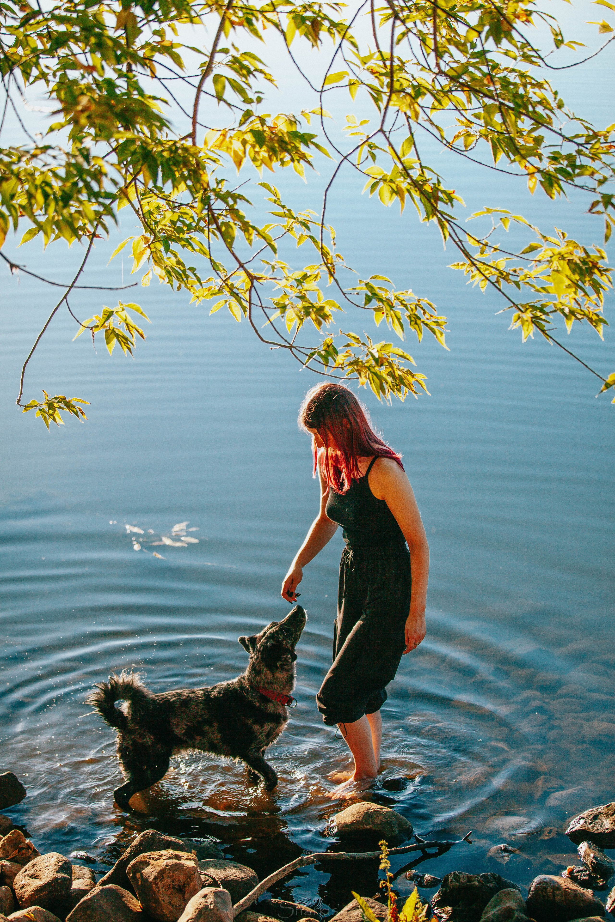 Вега и Гриша. Главная