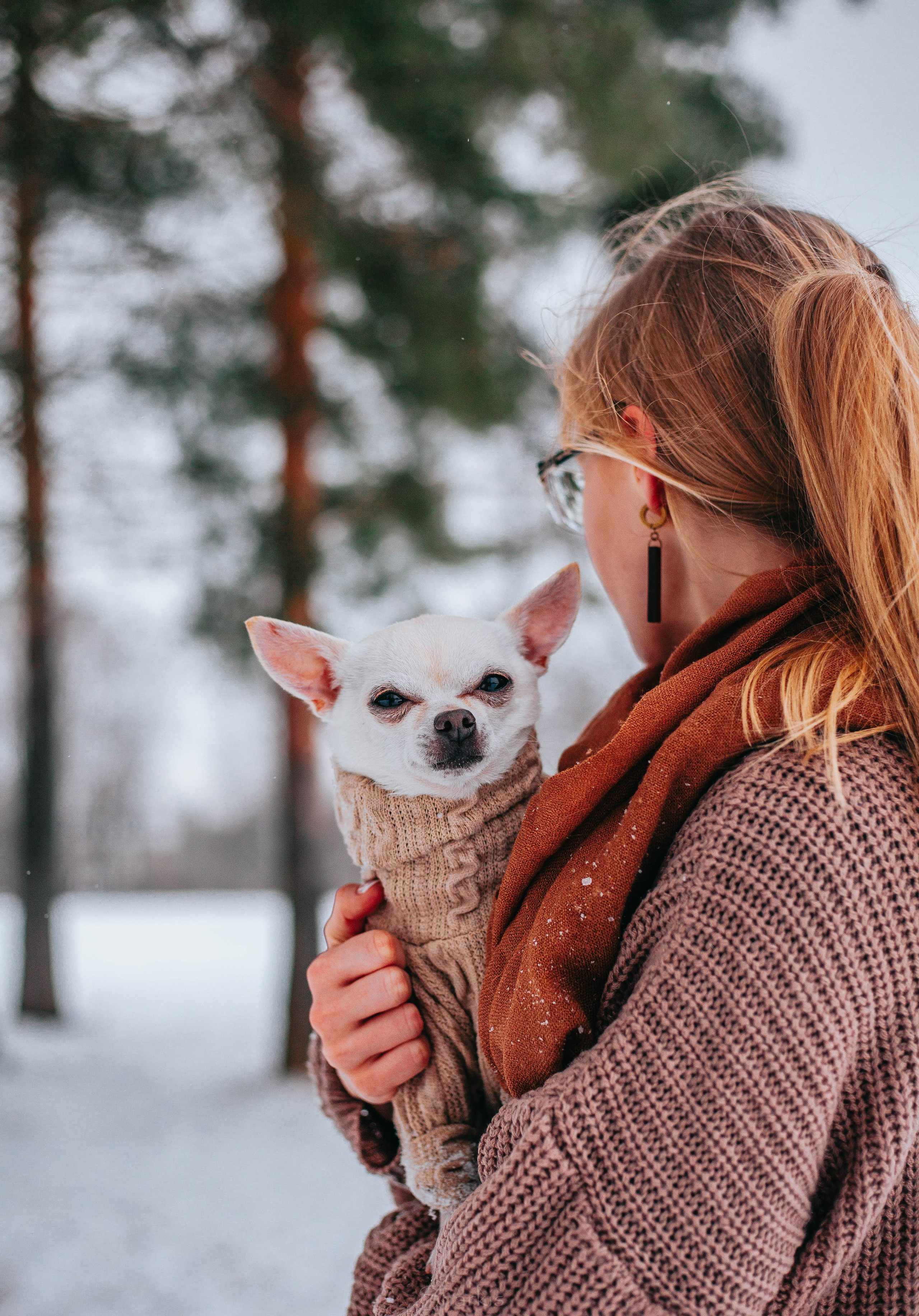 Хельга и Пёс. Главная