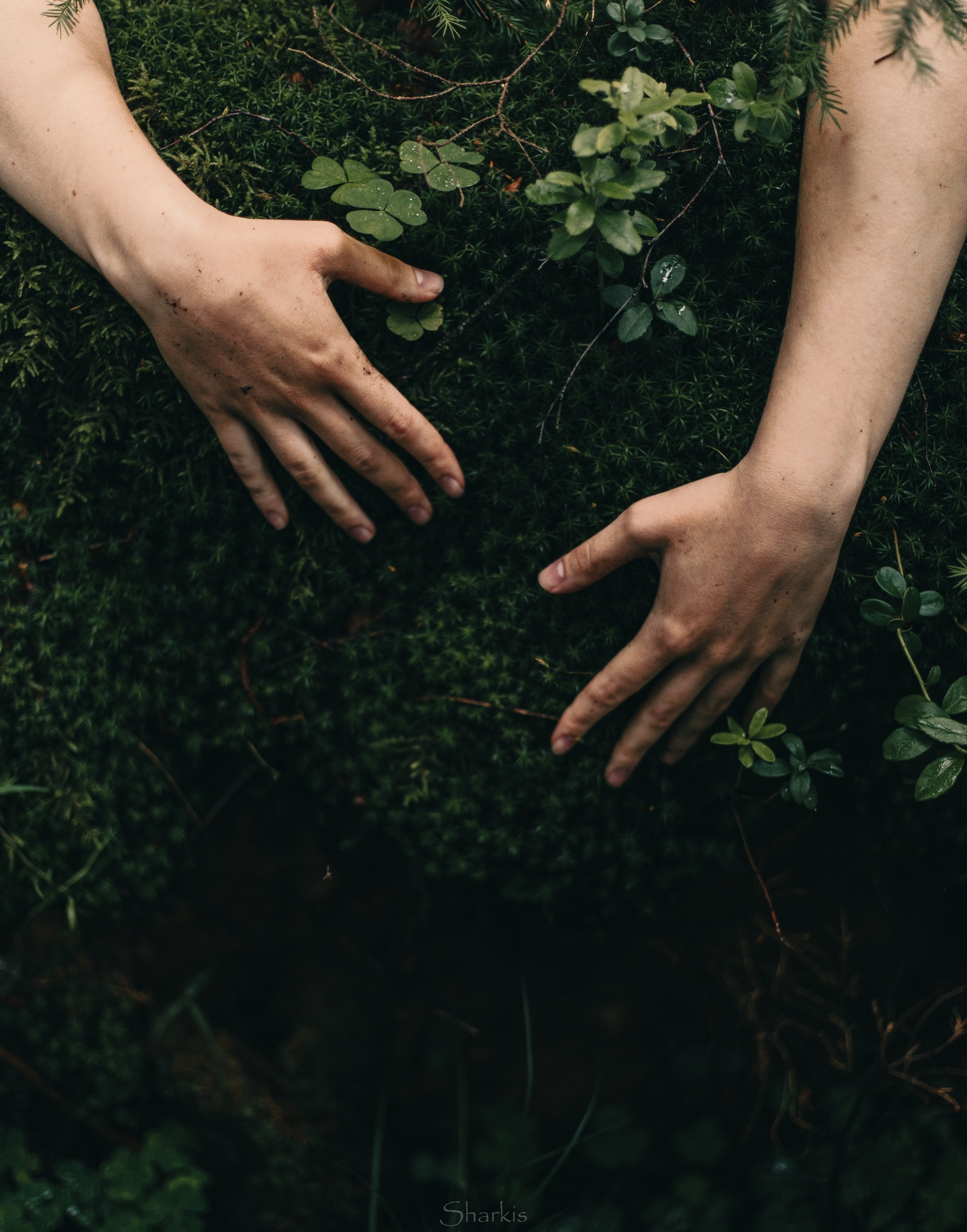 Лиза и Чарли. Главная