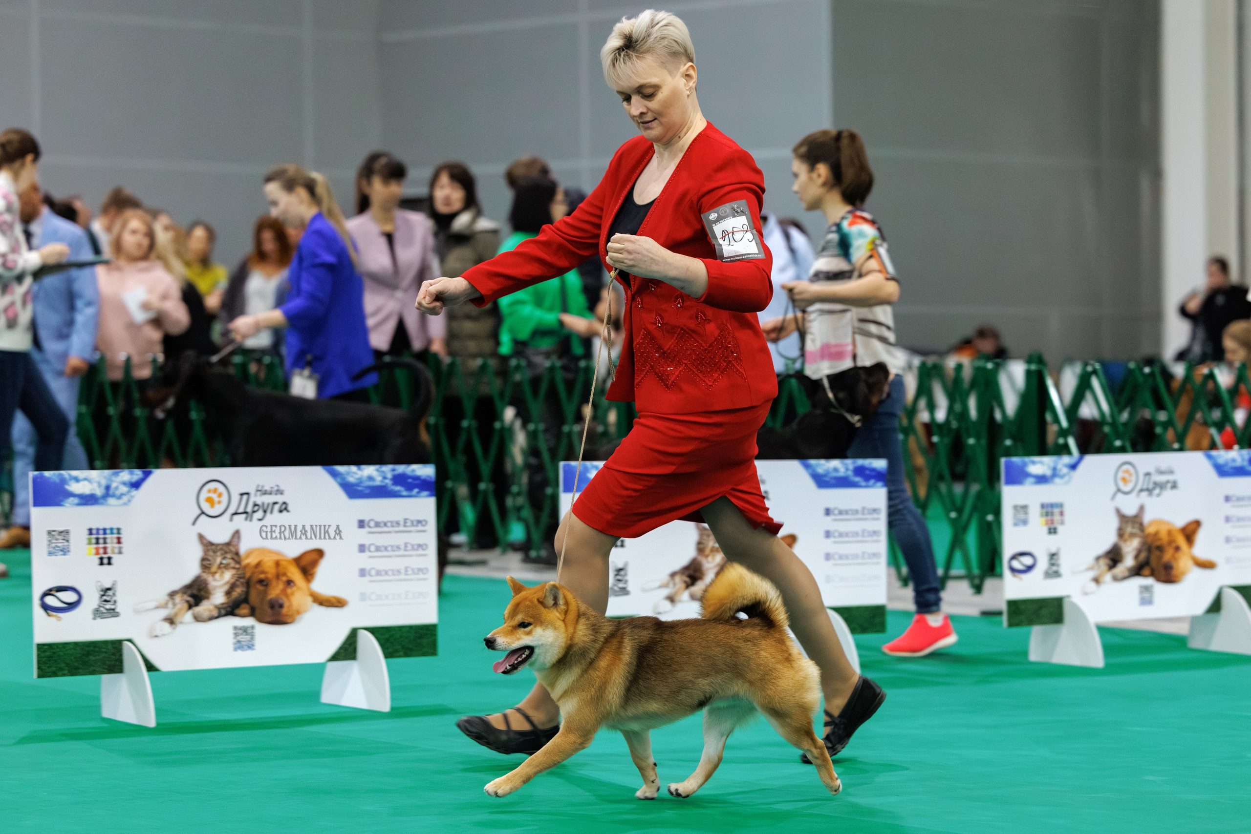 Крокус 10.02,Сфера 11.02.2024. Фотограф-анималист Юлия Германика