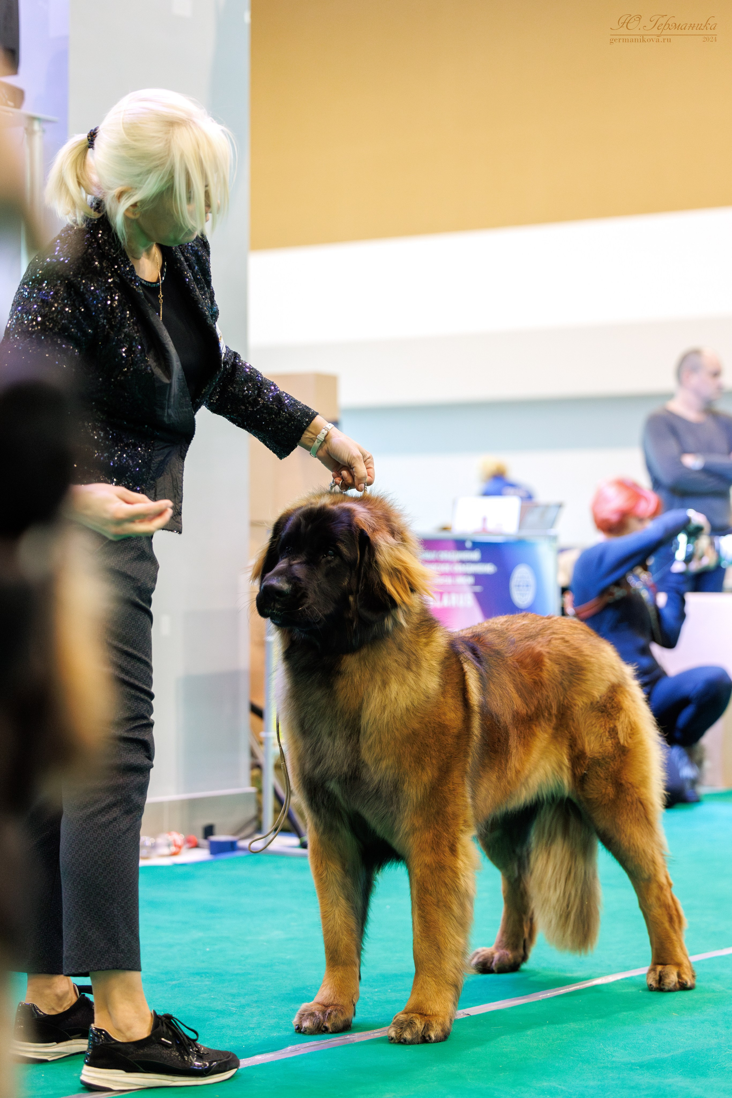 Минск 23.11.2024. Фотограф-анималист Юлия Германика