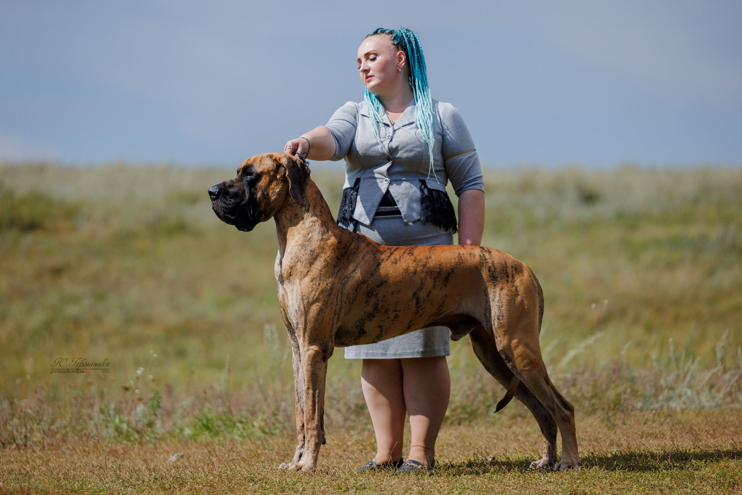 Астана 2хCACIB 17-18.08.2024. Фотограф-анималист Юлия Германика