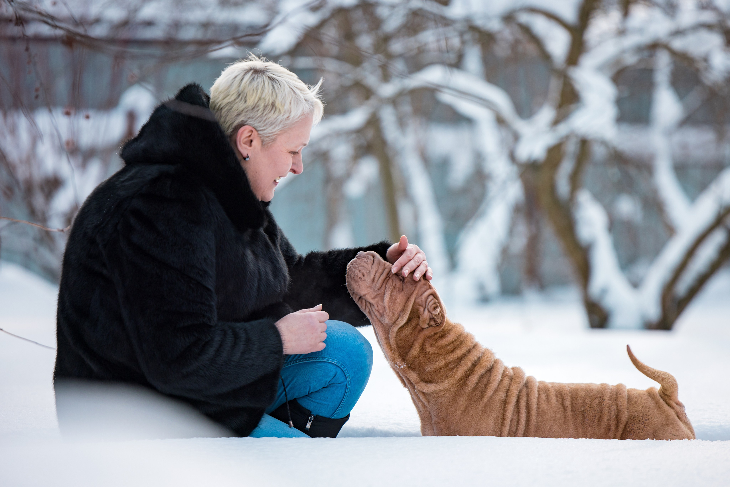 В гостях у шарпеев 16.01.2024. Фотограф-анималист Юлия Германика