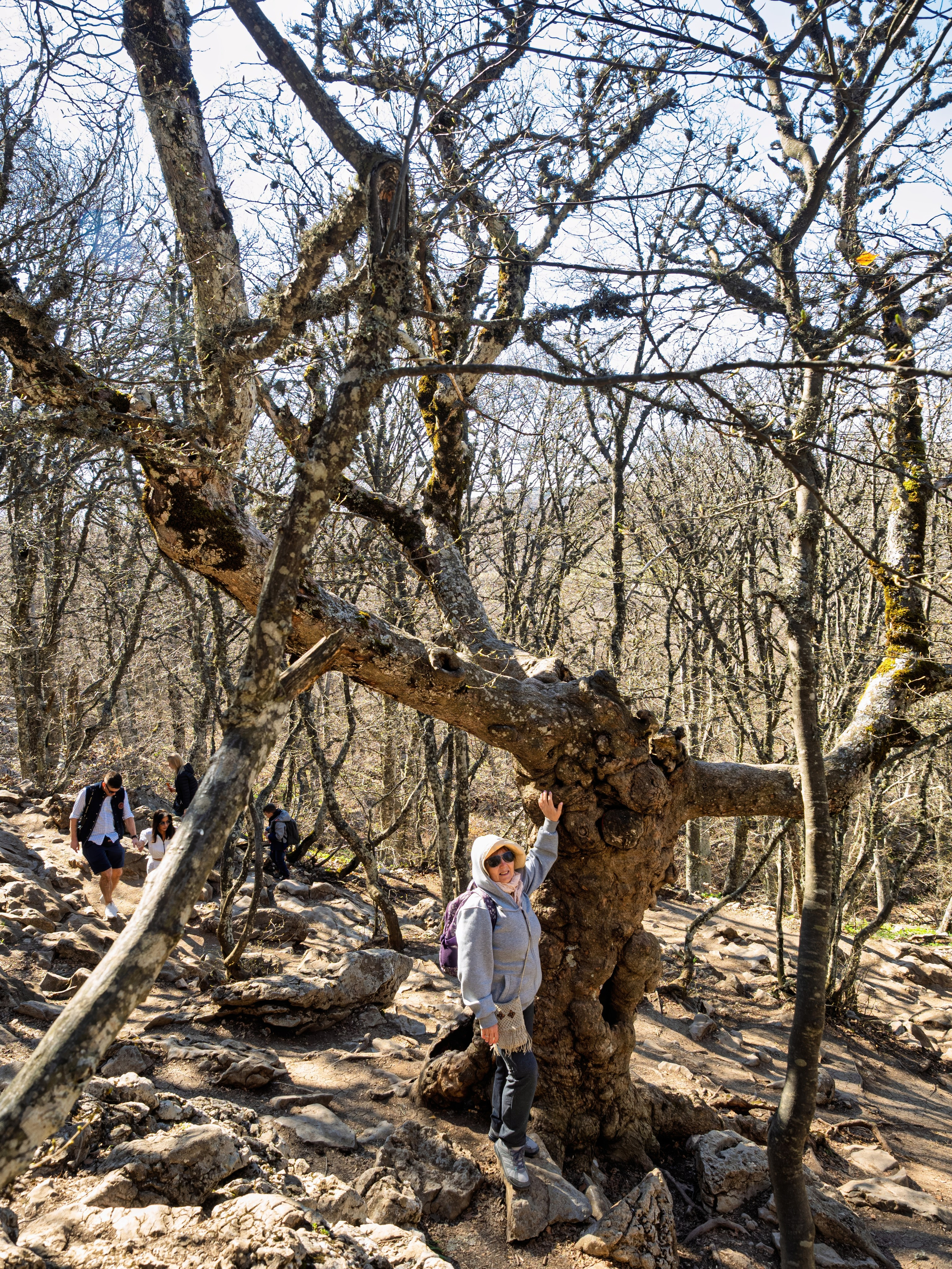 Крым, Утес, 2021 год. Фотограф Никифоров-Гордеев Сергей. Москва и МО