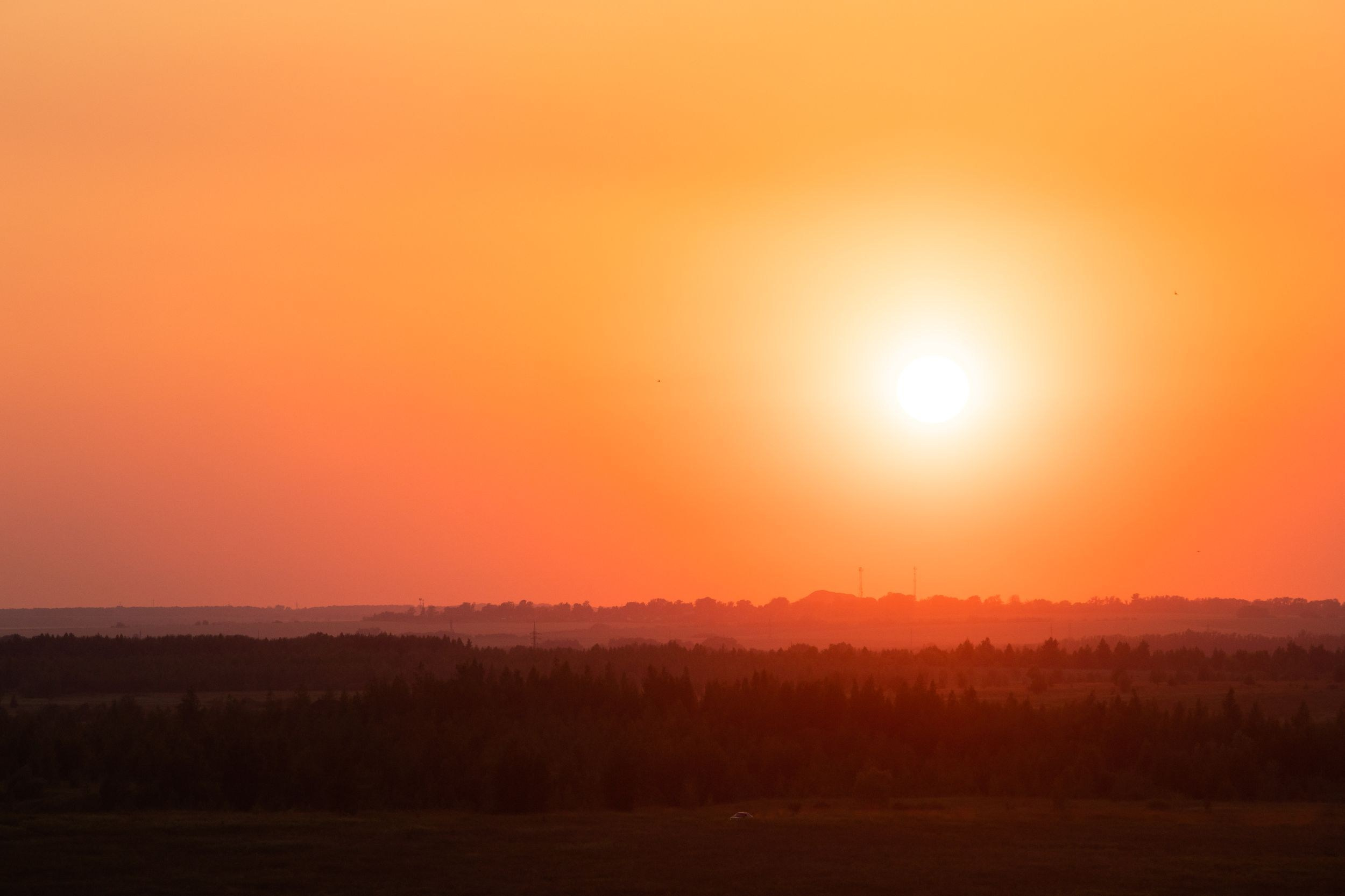 Кондуки (10 июля 2021). Репортажный фотограф Алексей Пирязев