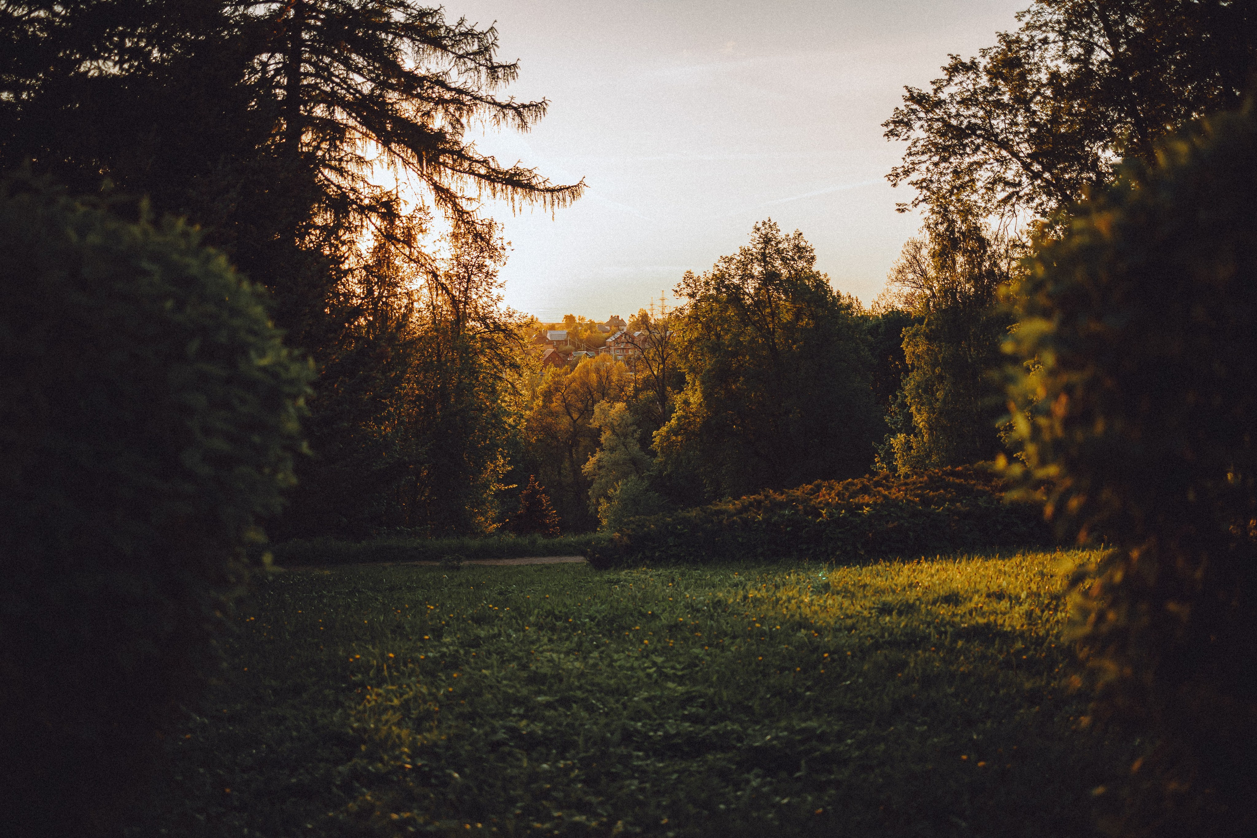 Шерри и ее семья