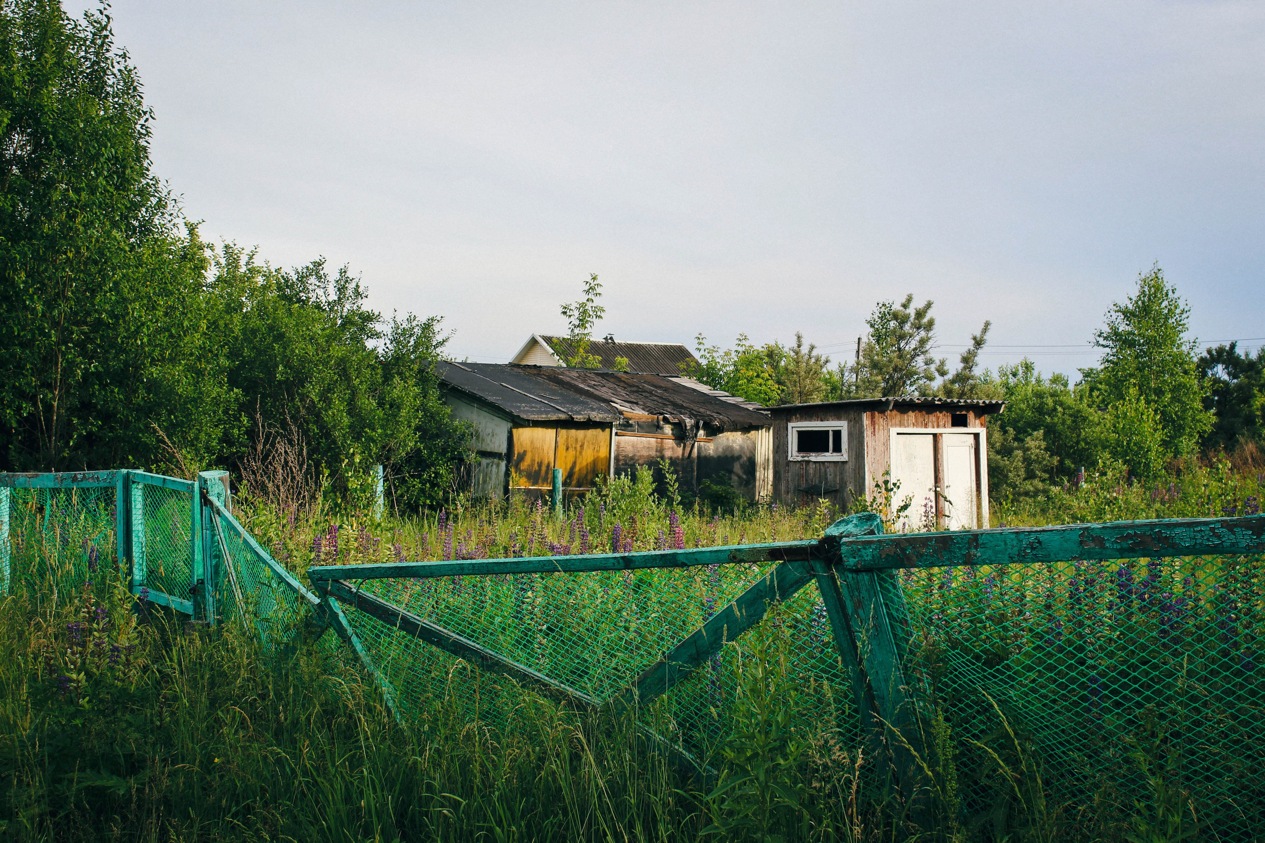 Дер. Александровка. Фотограф Ксения Монахова