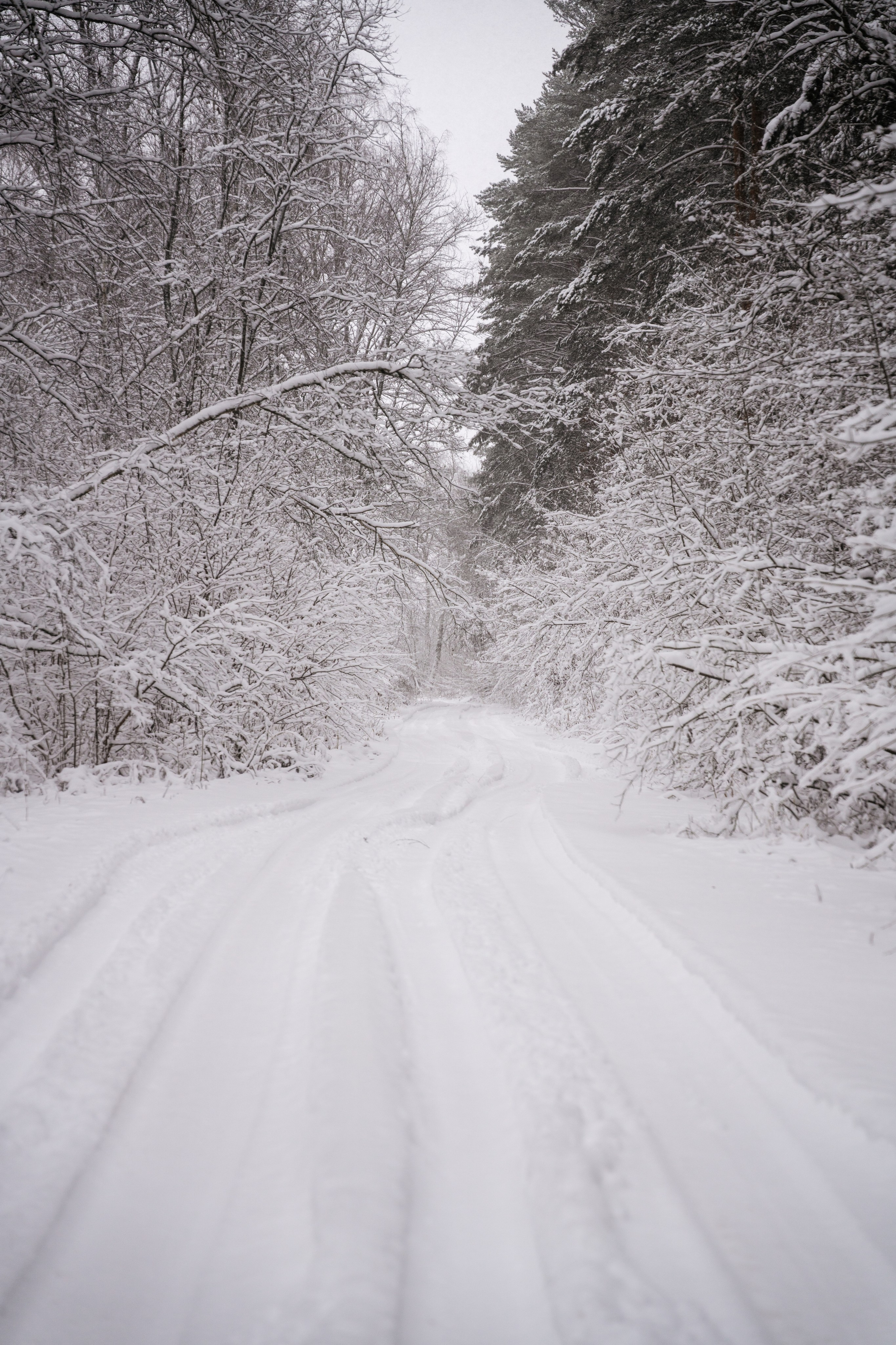 Поездка к р. Песочня и деревне Раевское. Vlad Trykov