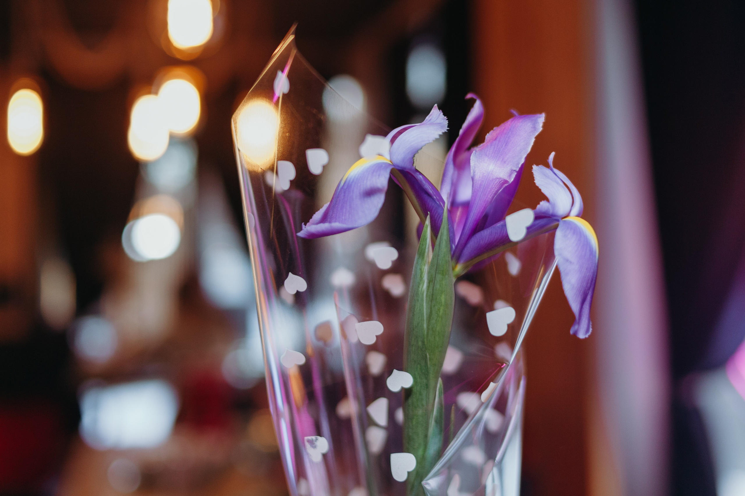 Еве 10 лет. Семейный фотограф во Всеволожске и Санкт-Петербурге Юлия Капустина