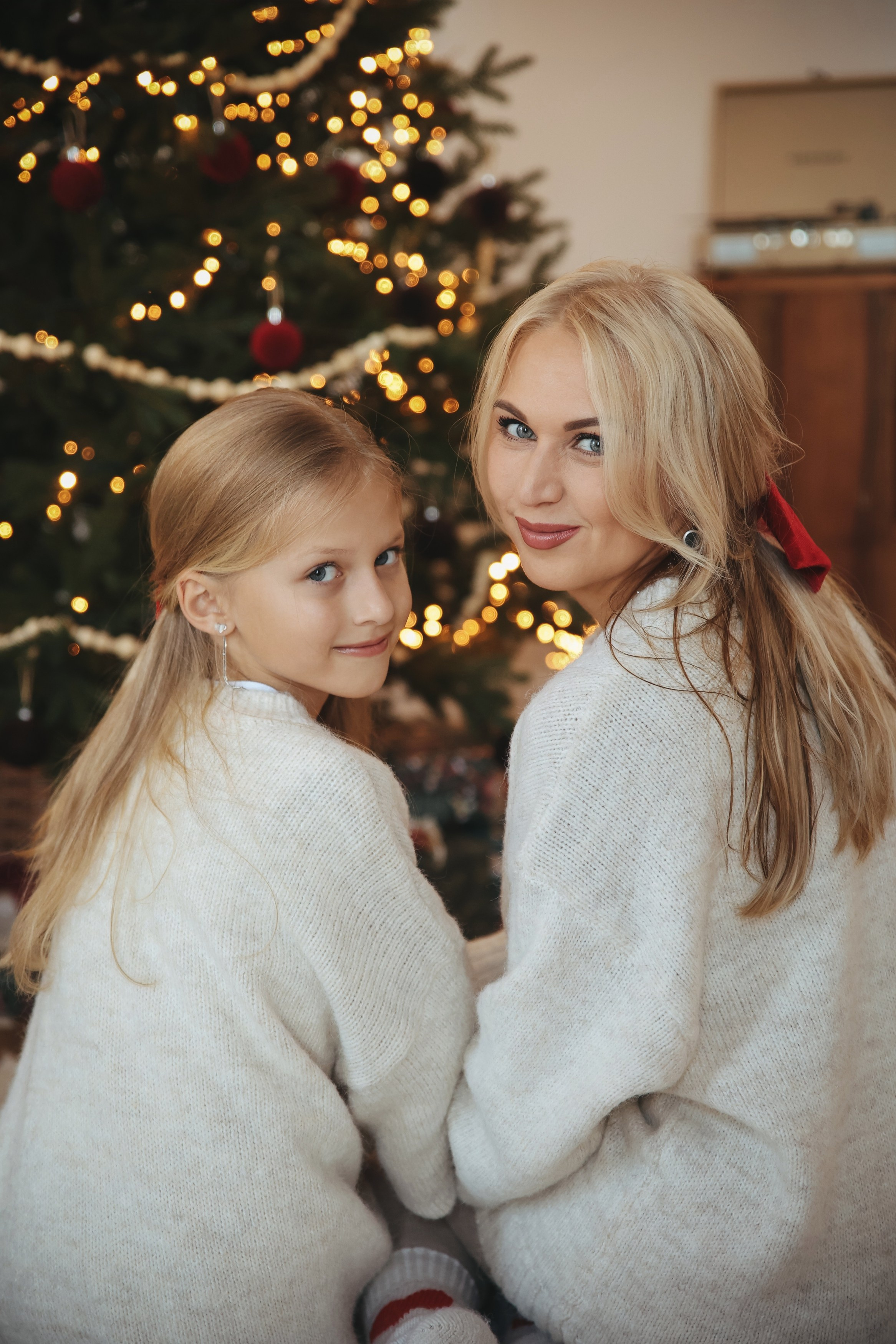 Новогодняя фотосессия во Владимире съемка на новый год фотосессия в студии фотограф во Владимире фотограф в Москве корги. Фотограф Владимир Москва