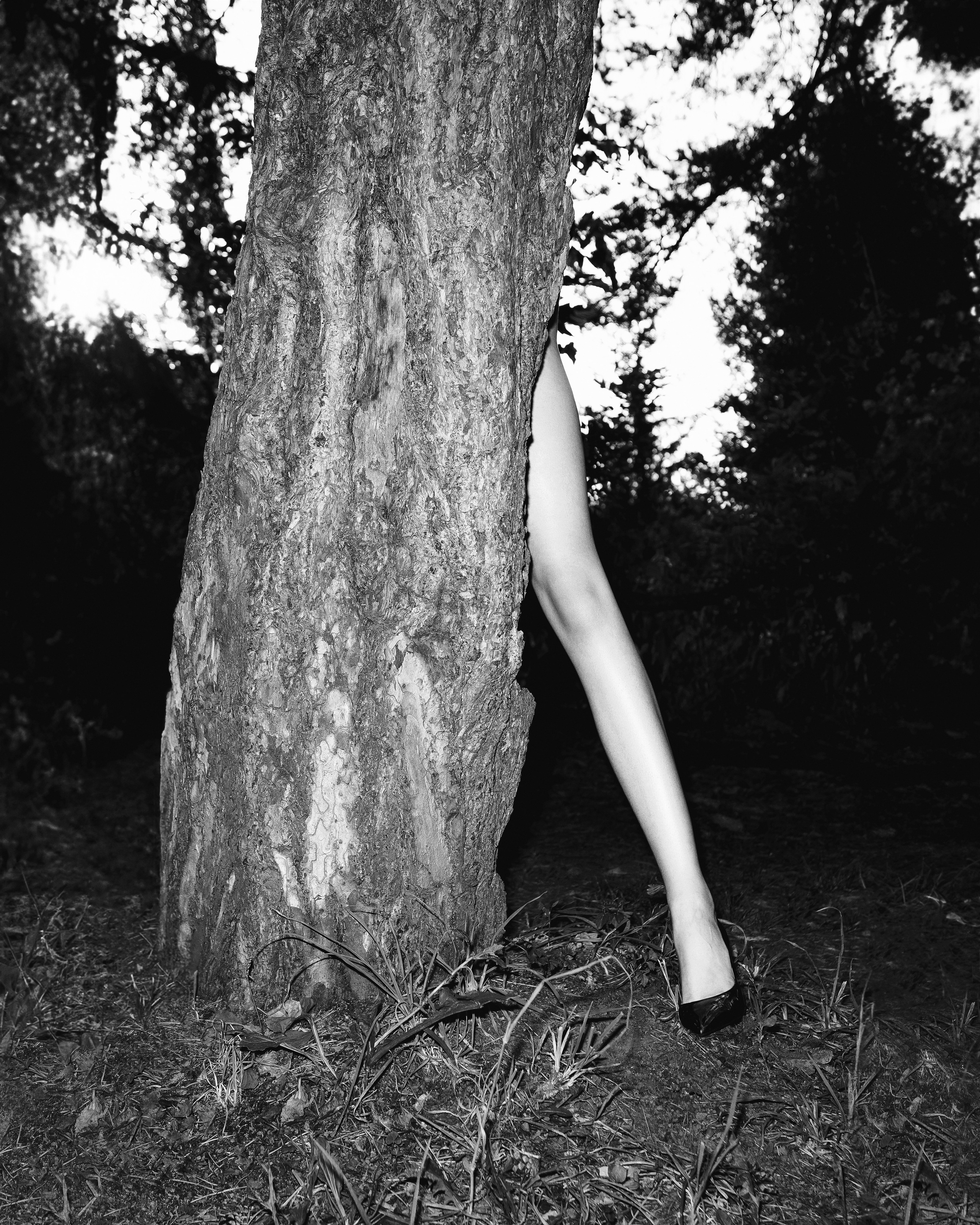 GRACEFUL. Фотограф Алматы | Весь мир — Никита Колодин