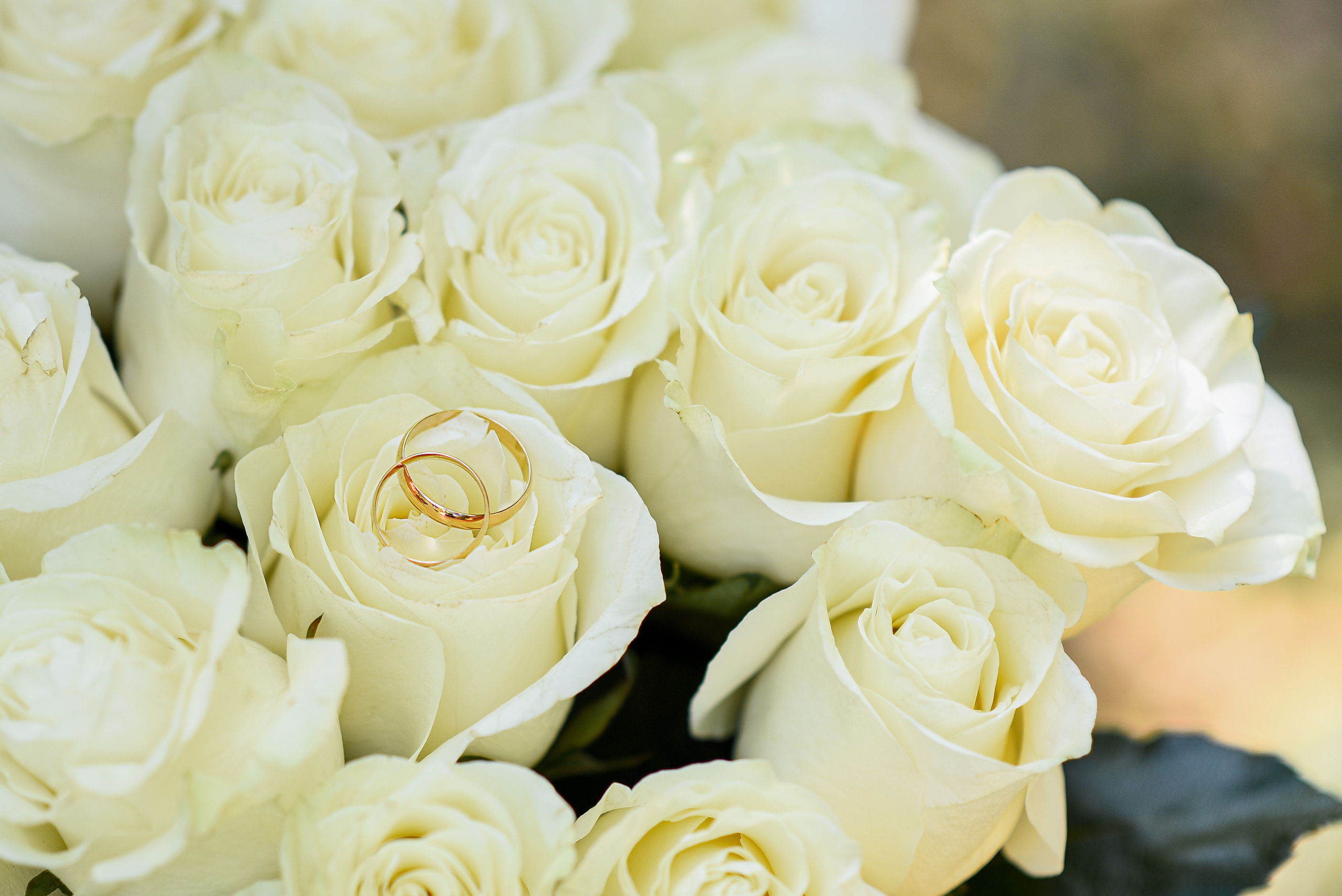 Свадьба Айнура и Алины