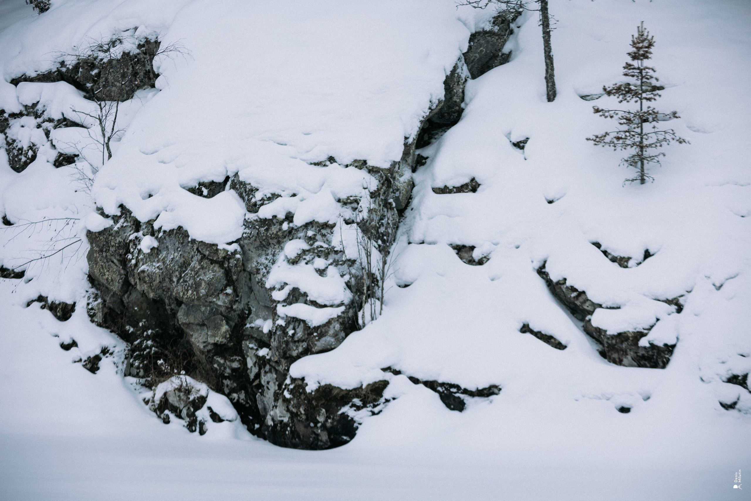 Прогулка по озеру. Портретный фотограф Денис Милютин