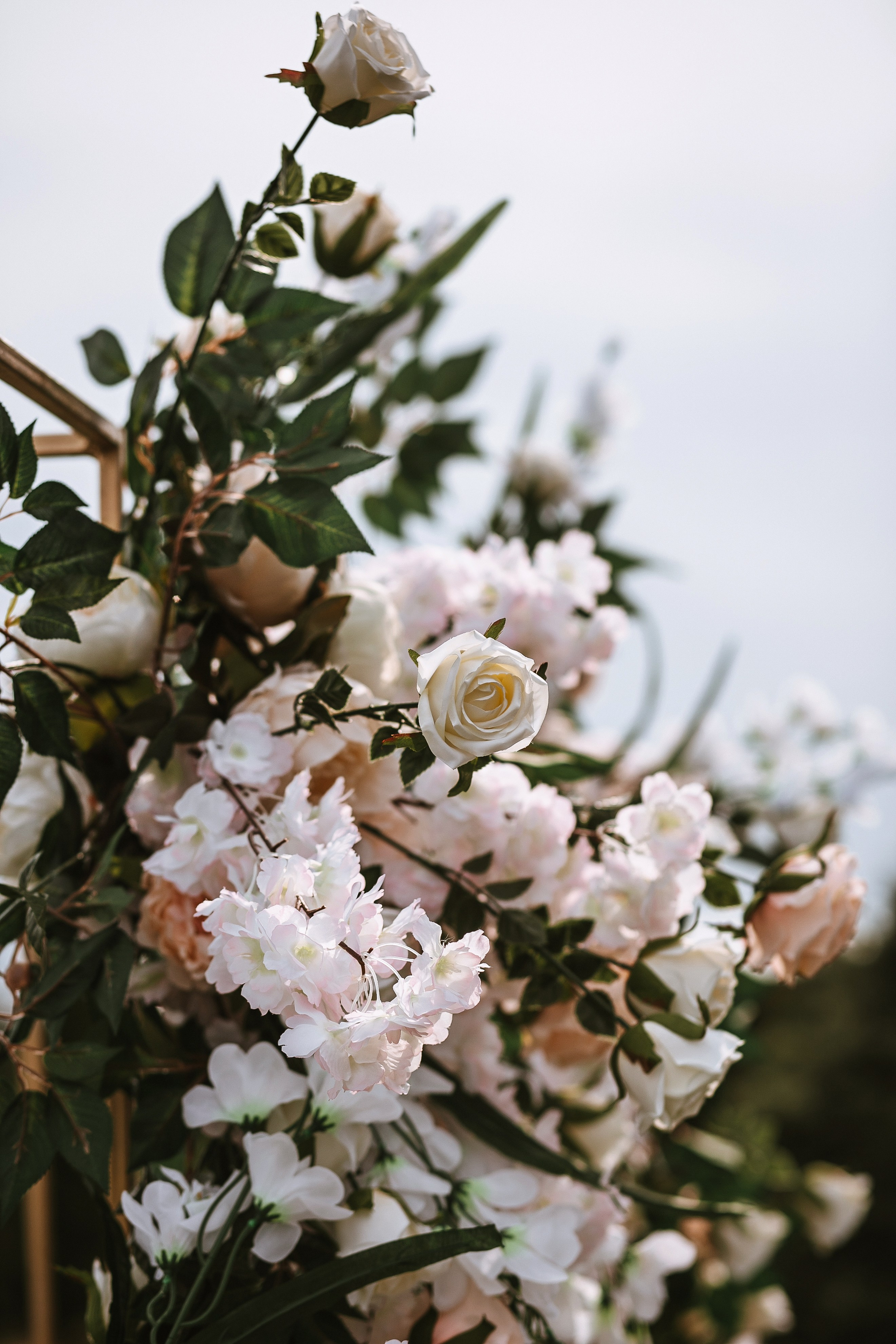 Алексей и Вероника. Фотограф в Волгограде и Москве | Анастасия Лаврова