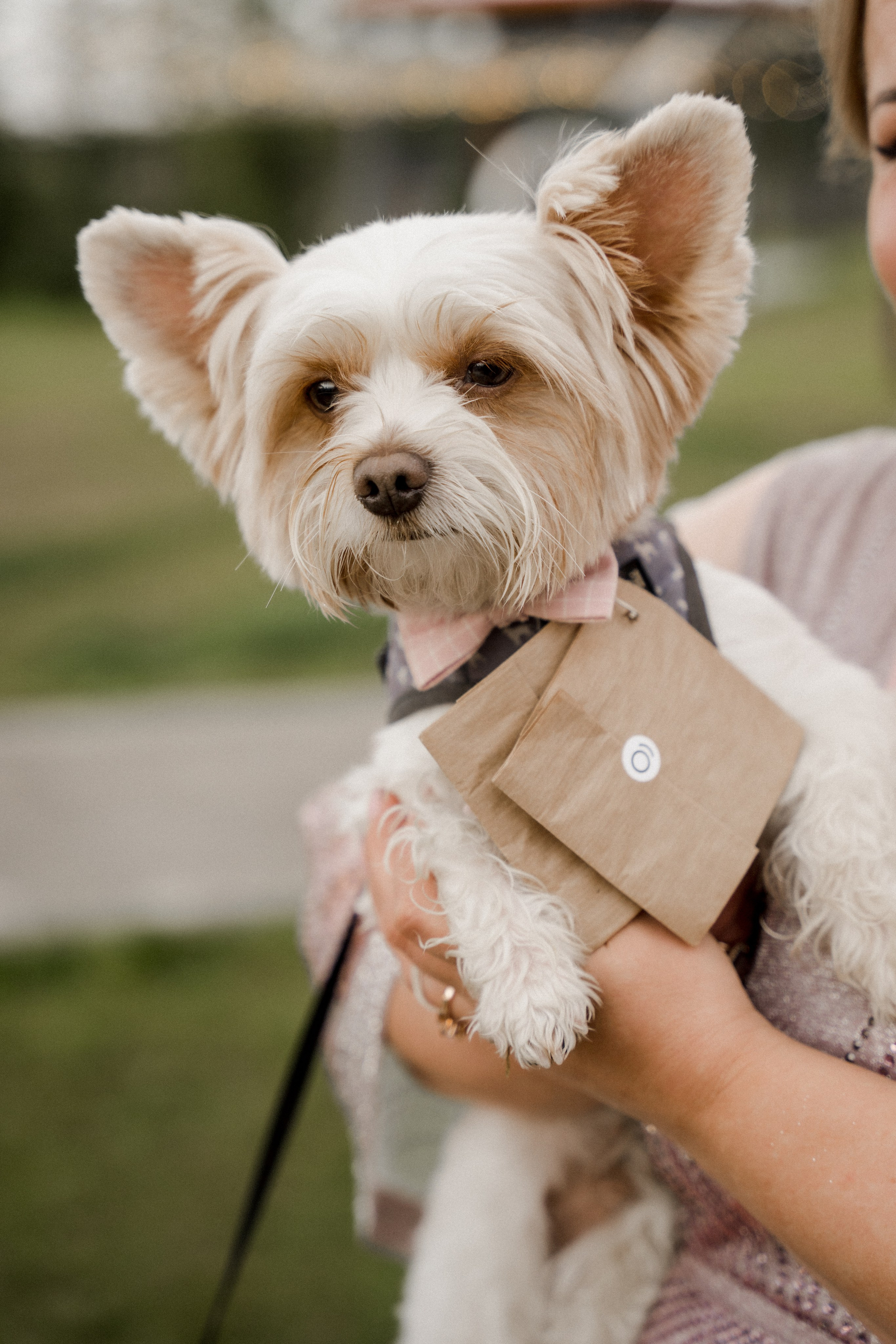 Maxim & Liana. Dolce_wedding