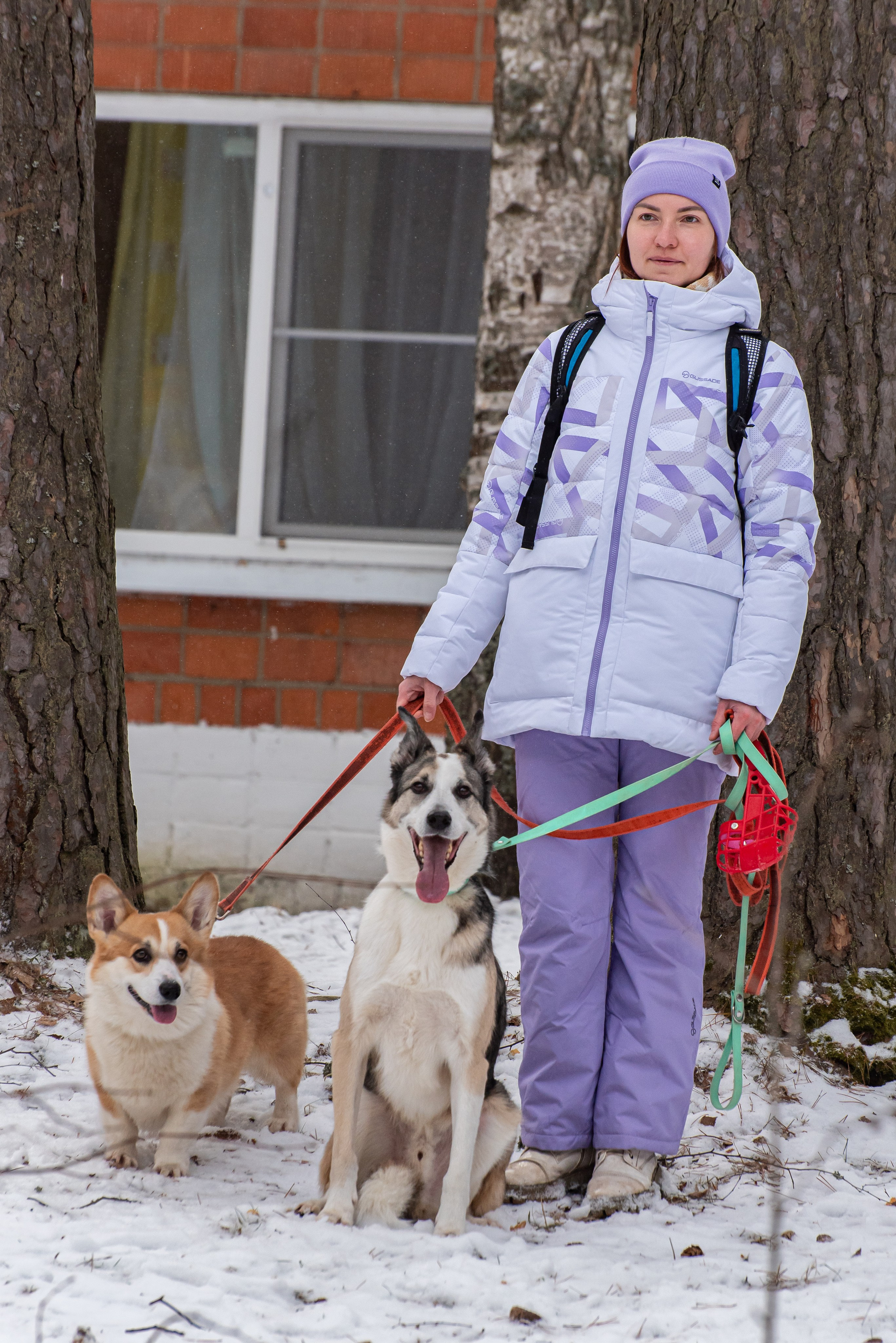 Фотосъёмка с собаками в Кинологическом лагере. Фотограф Макс Огурцов в Нижнем Новгороде