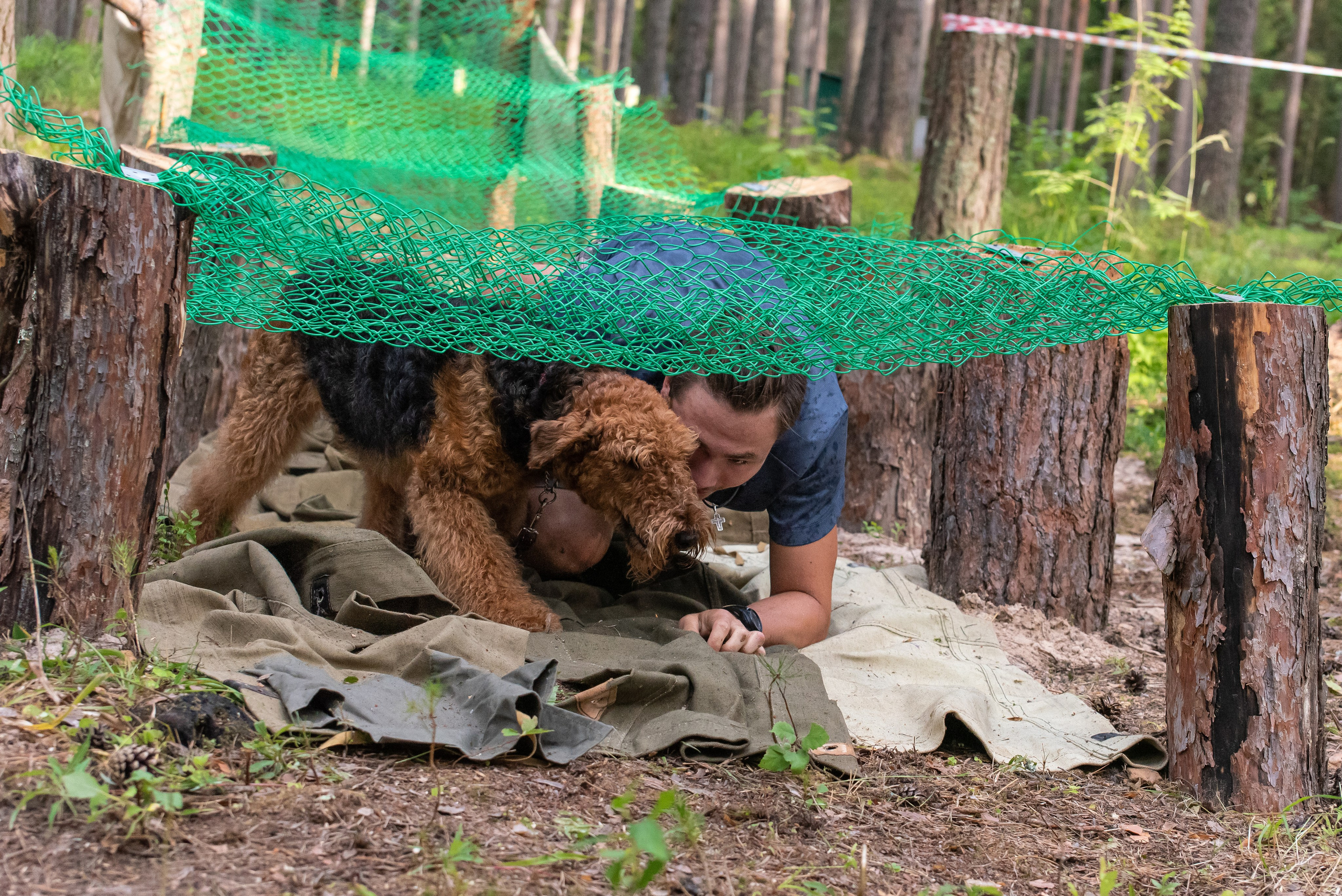 Хвостатые каникулы Детский кинологический лагерь. Фотограф Макс Огурцов в Нижнем Новгороде