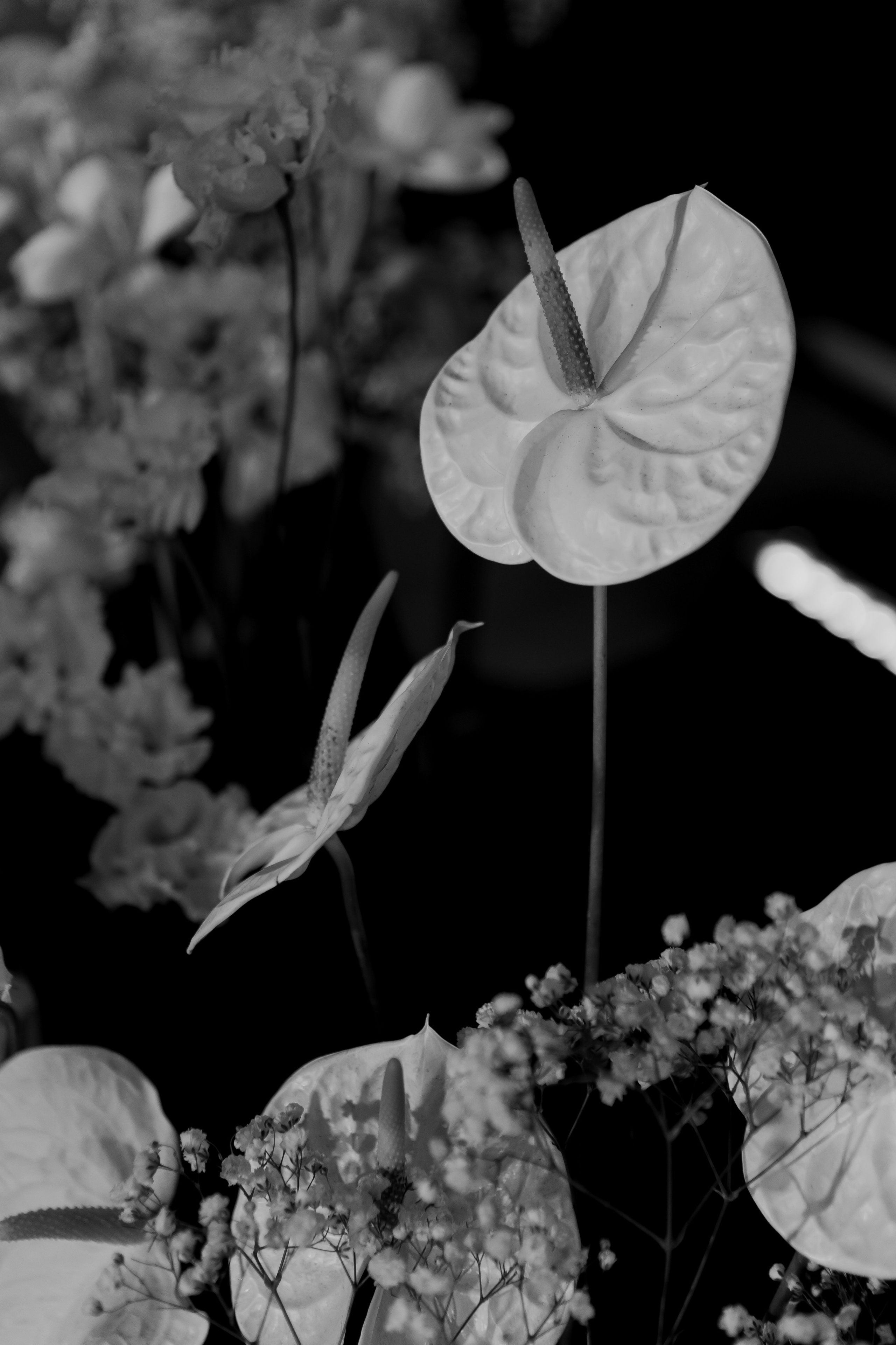 Илья и Наталья. Свадебный фотограф Ксения Трухина в Нижнем Новгороде и Москве