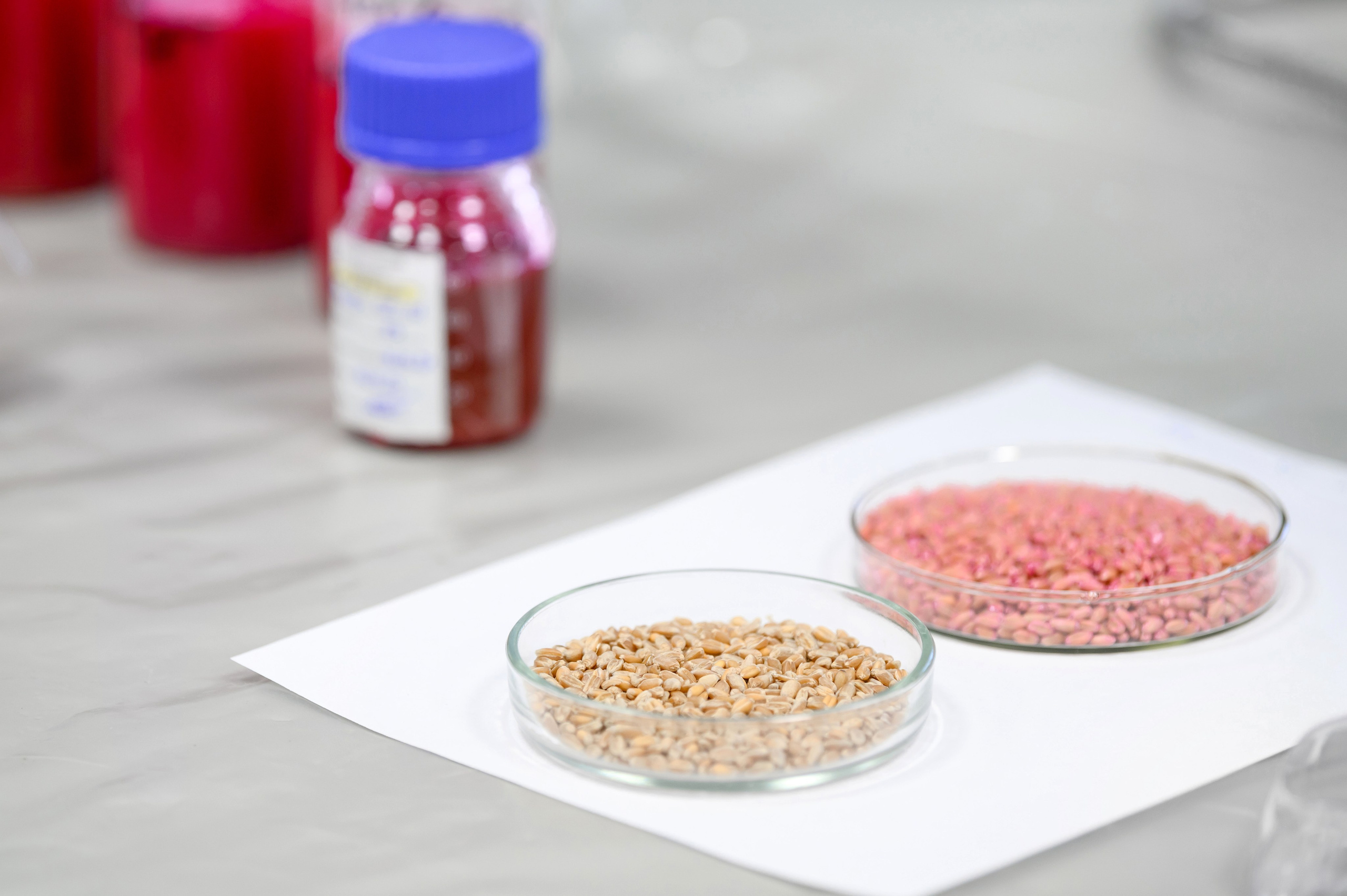 Проекты. Профессиональный фотограф Вячеслав Плацында | Липецк |