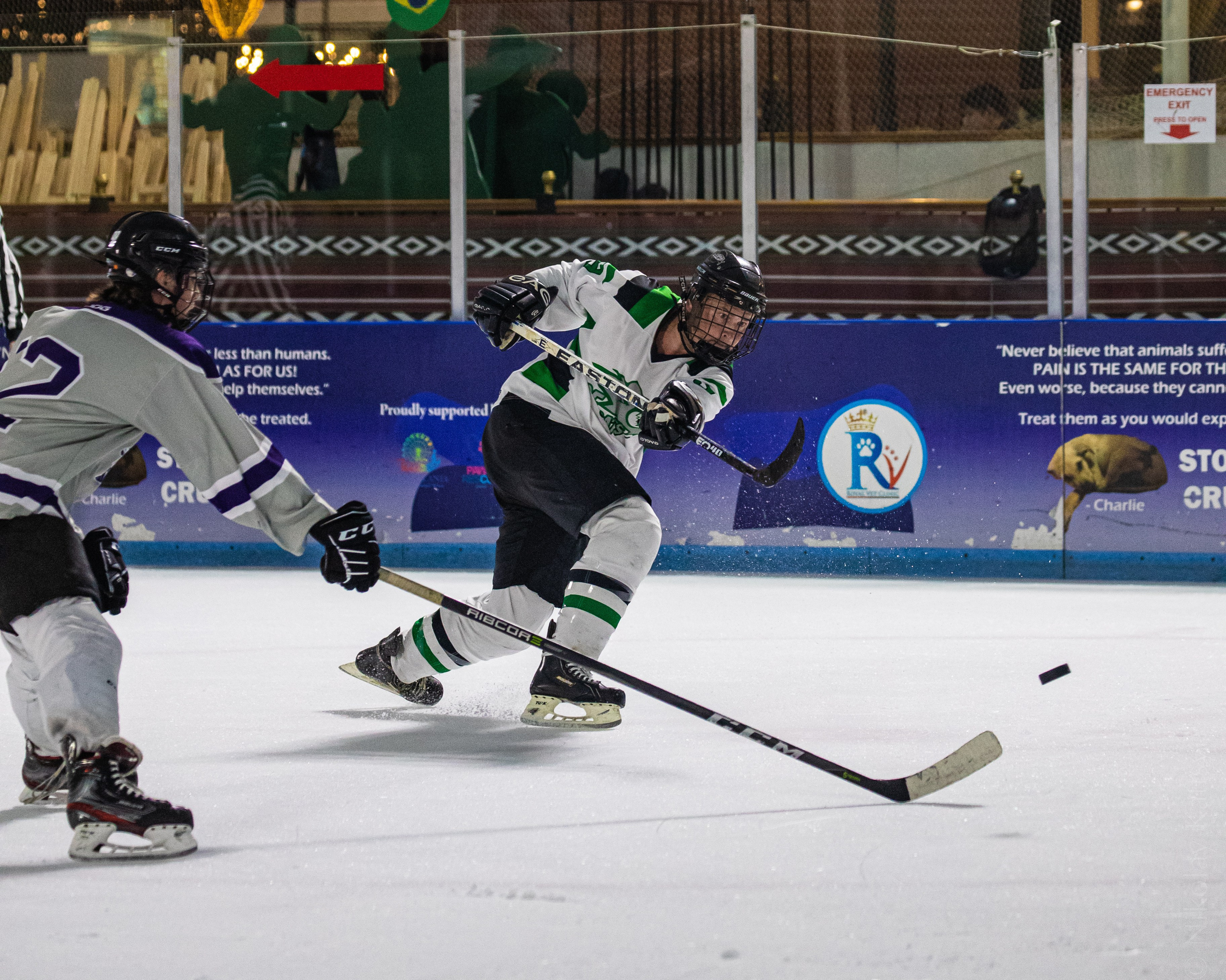 Хоккей. Фотограф в Москве портреты | репортажи | спорт