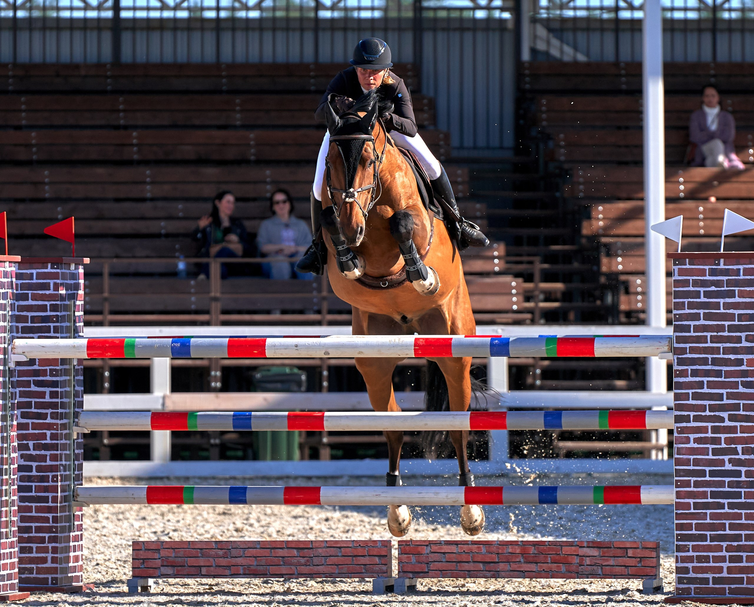 Соревнования на лошадях — галерея NATRIEL