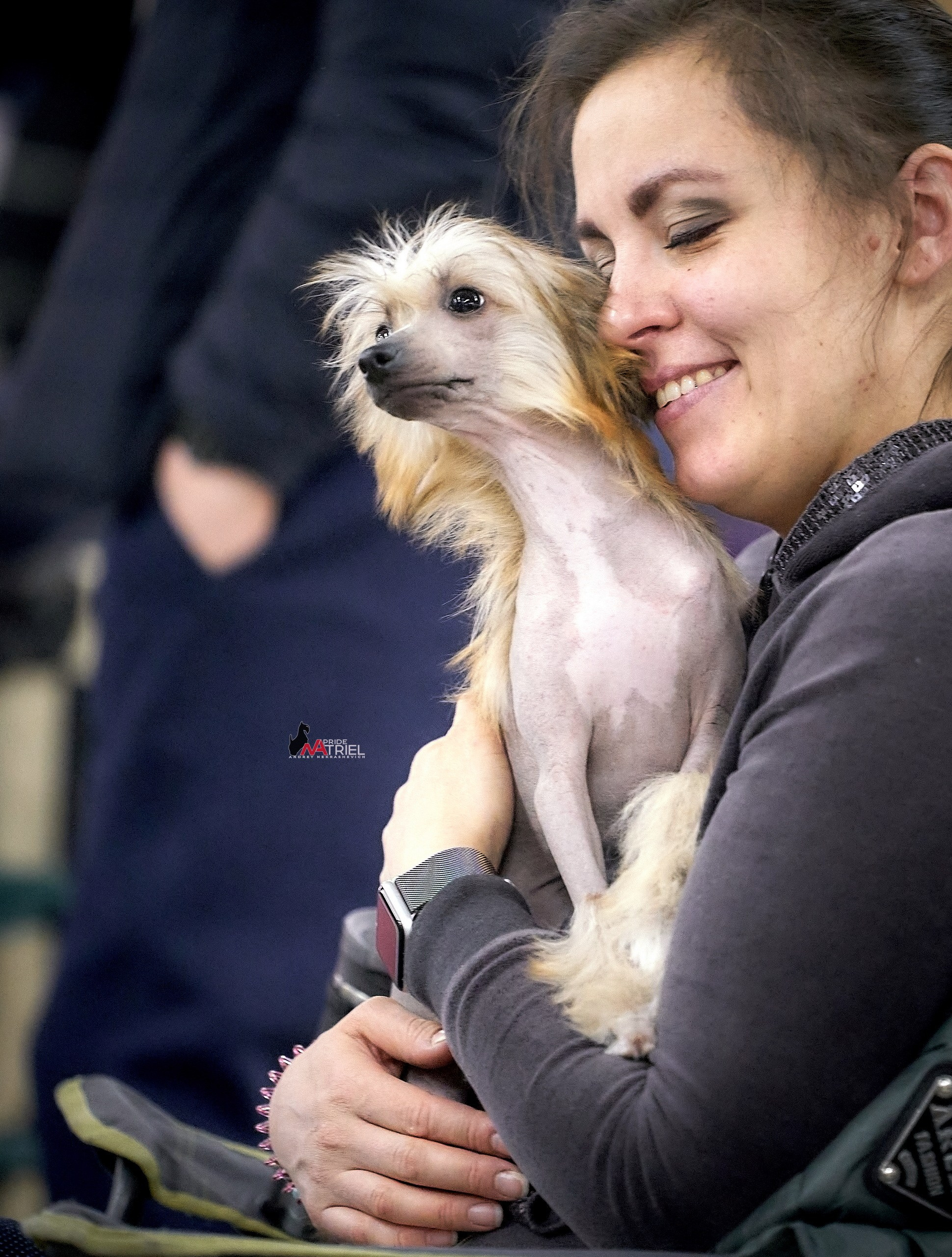 Собаки и Люди — галерея NATRIEL